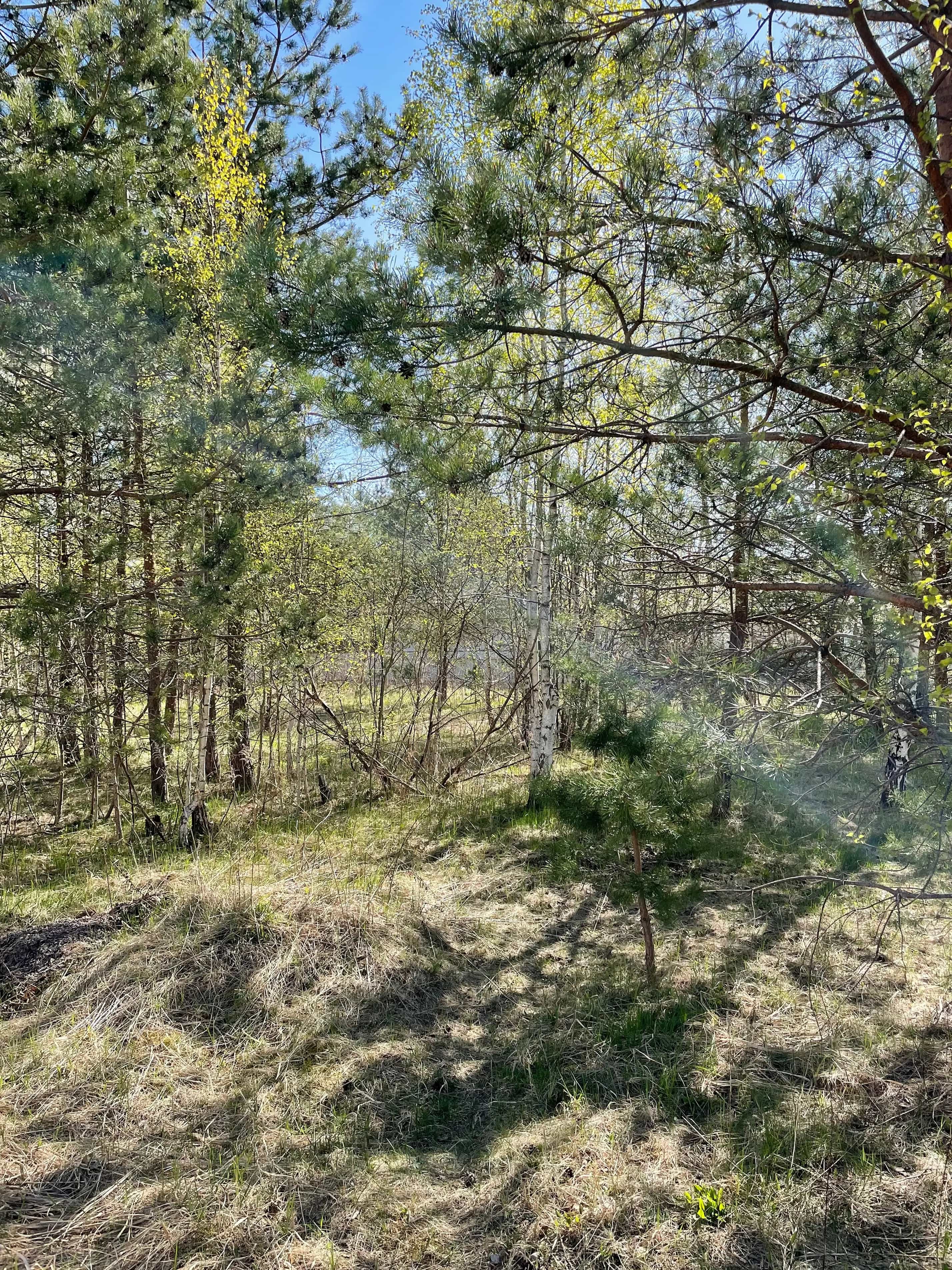 Беларусь, Минский район, агрогородок Колодищи, Пасхальный переулок, 5, фото 12