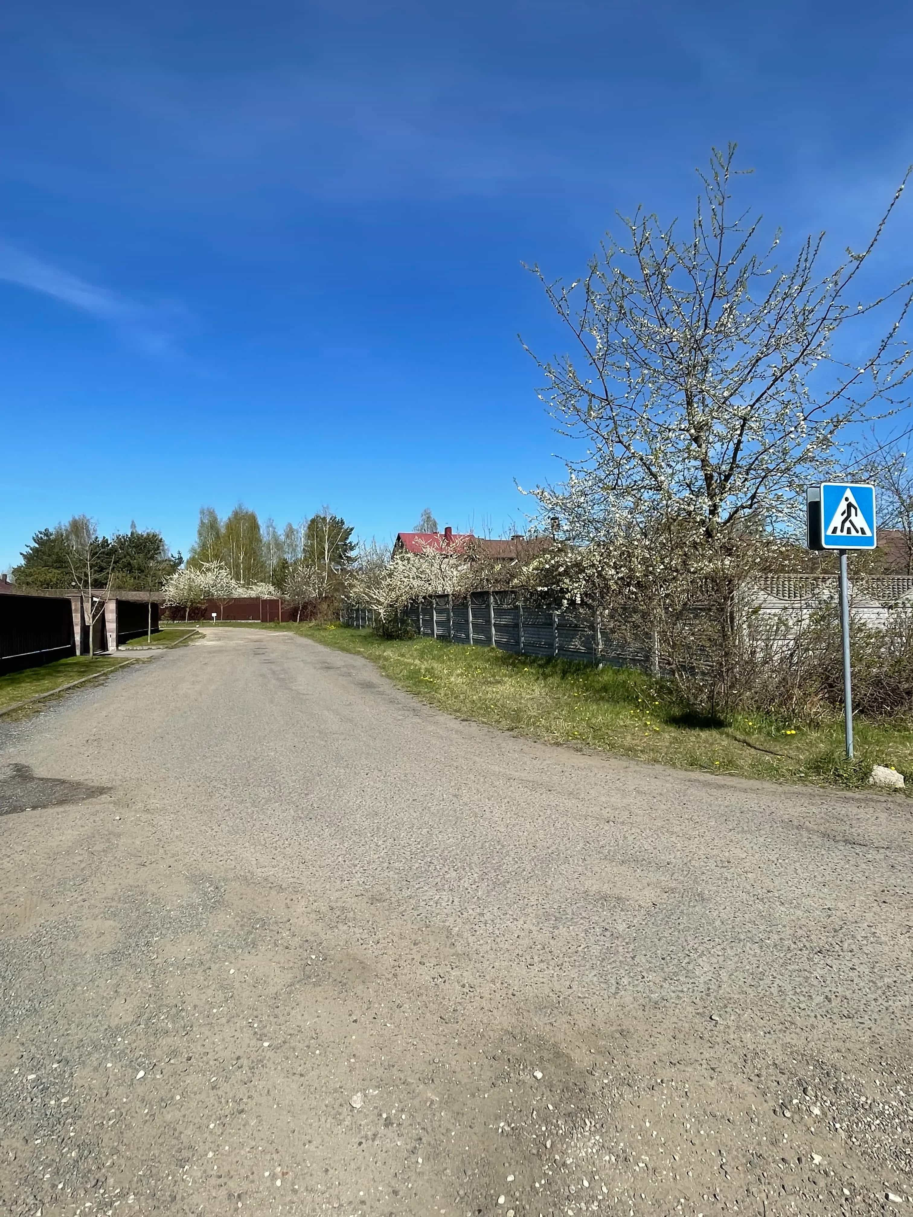 Беларусь, Минский район, агрогородок Колодищи, Пасхальный переулок, 5, фото 14