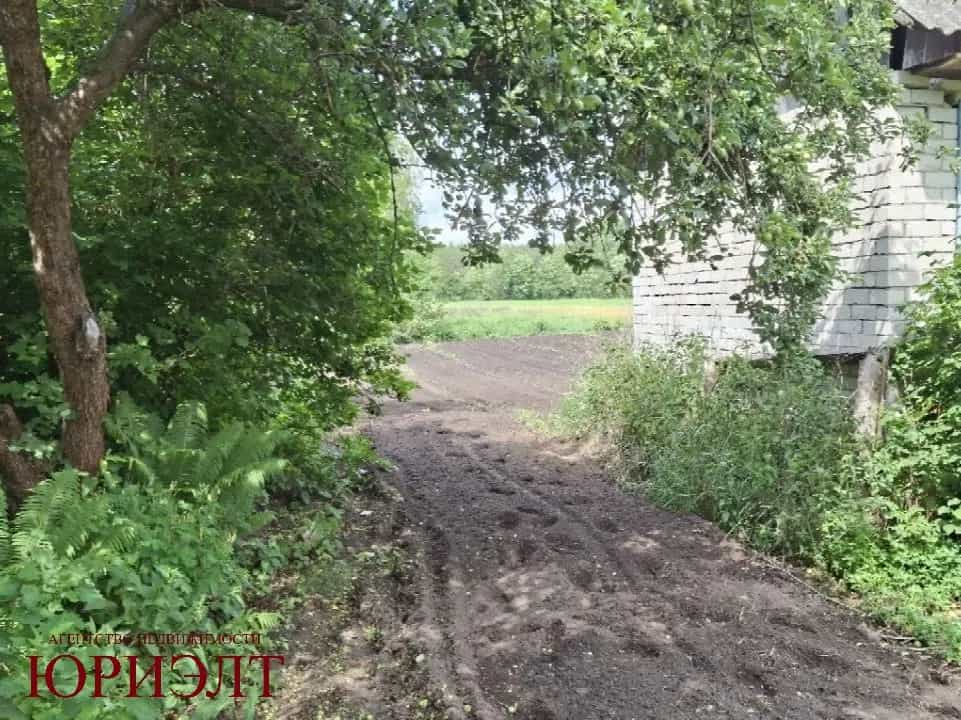 Беларусь, Брестская область, Жабинковский район, Ленинский сельсовет, деревня Чижевщина, Центральная улица, 56, фото 5