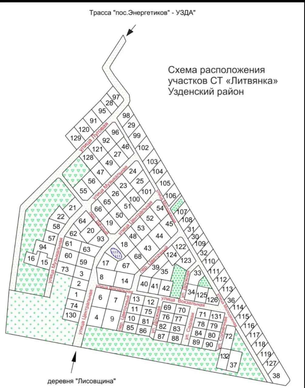 Беларусь, Минская область, Узденский сельсовет, СТ Литвянка, 35, фото 4