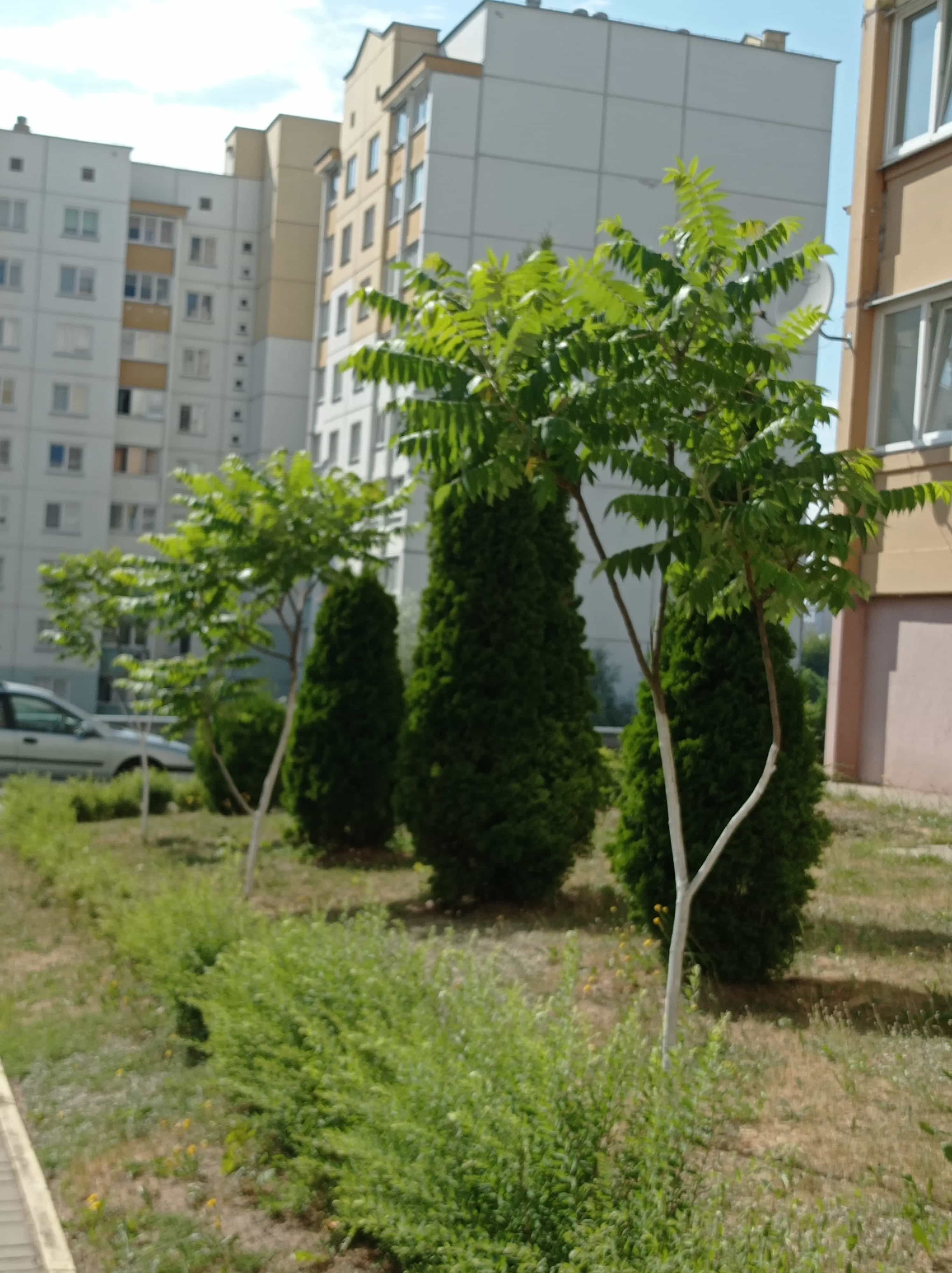 Беларусь, Гродно, улица Дзержинского, 58к1, фото 8