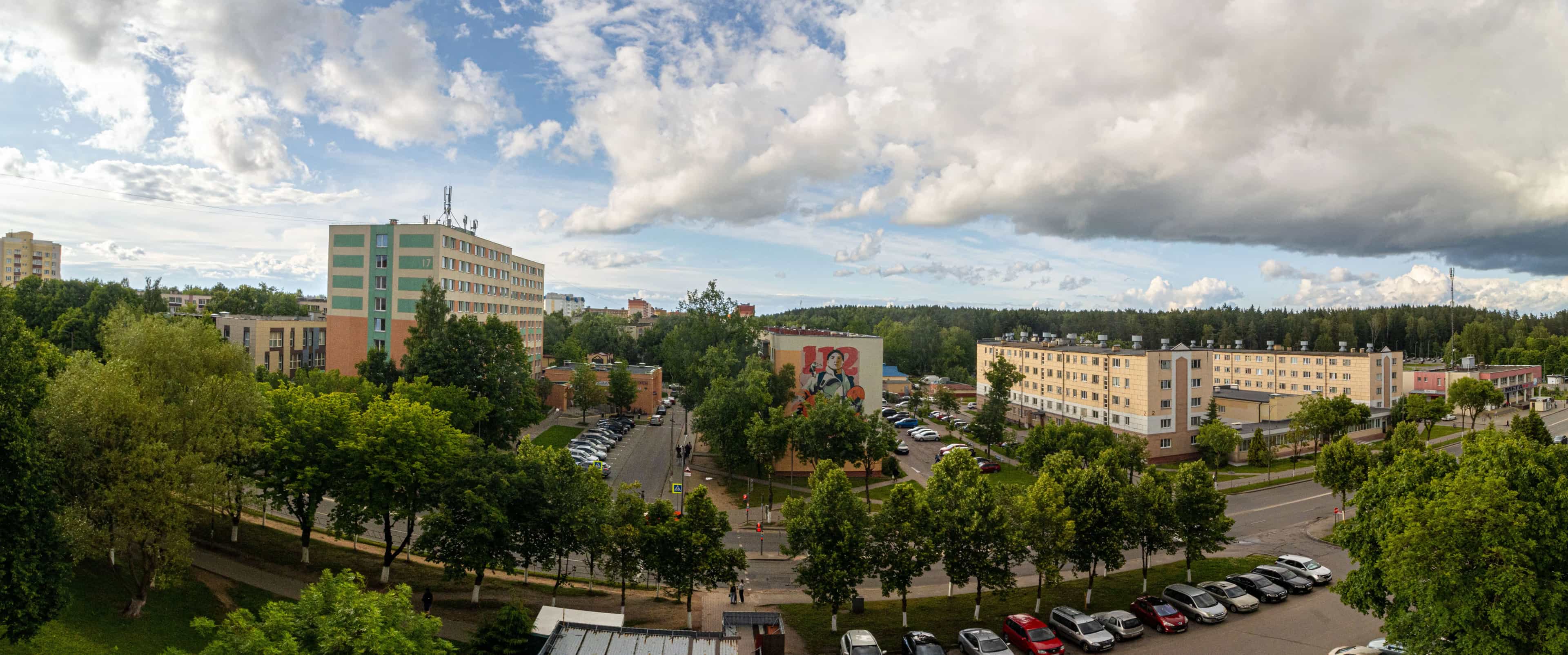 Беларусь, Минский район, Боровлянский сельсовет, агрогородок Лесной, Троицкая улица, 19, фото 11