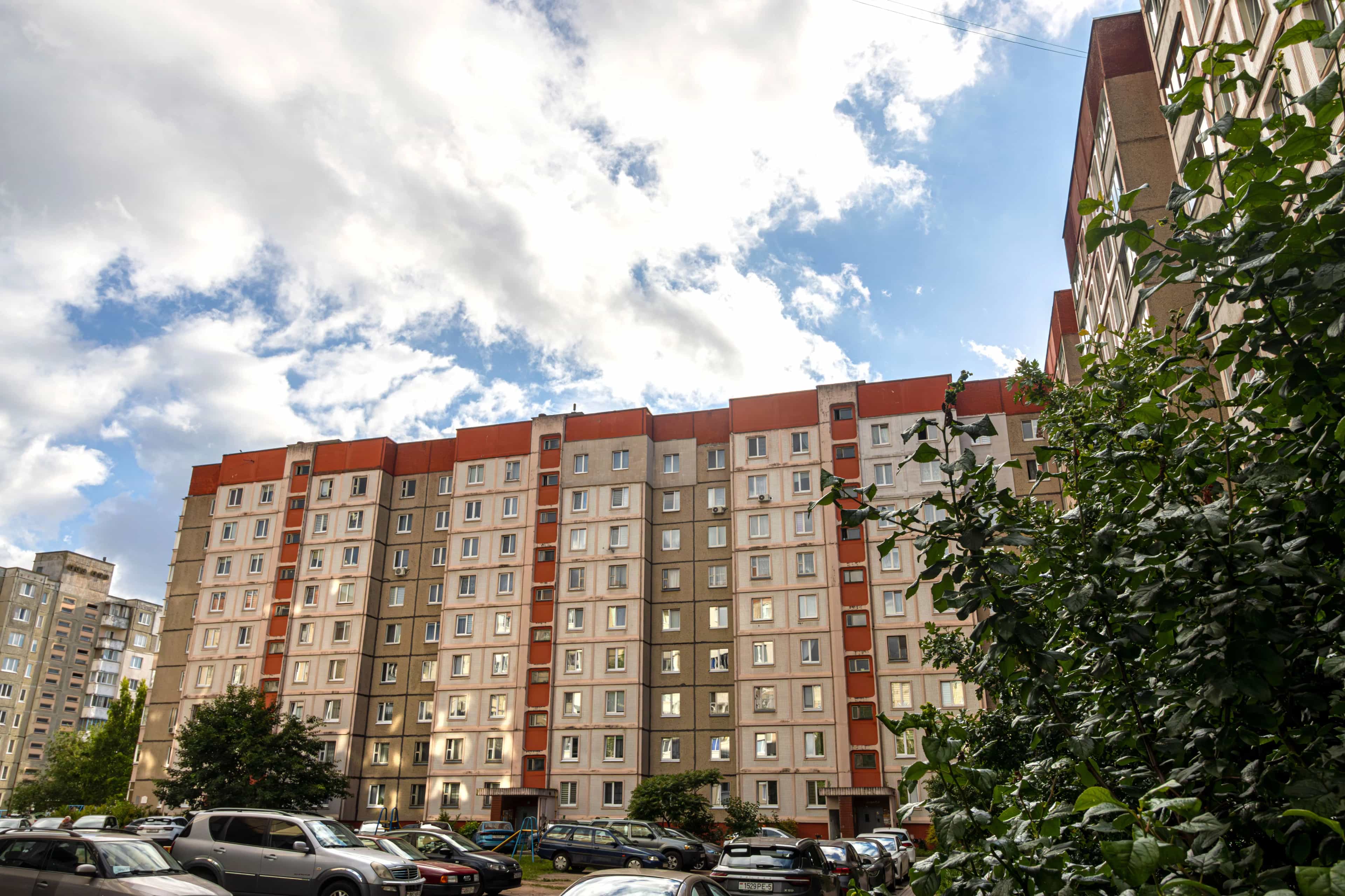 Беларусь, Минский район, Боровлянский сельсовет, агрогородок Лесной, Троицкая улица, 19, фото 24