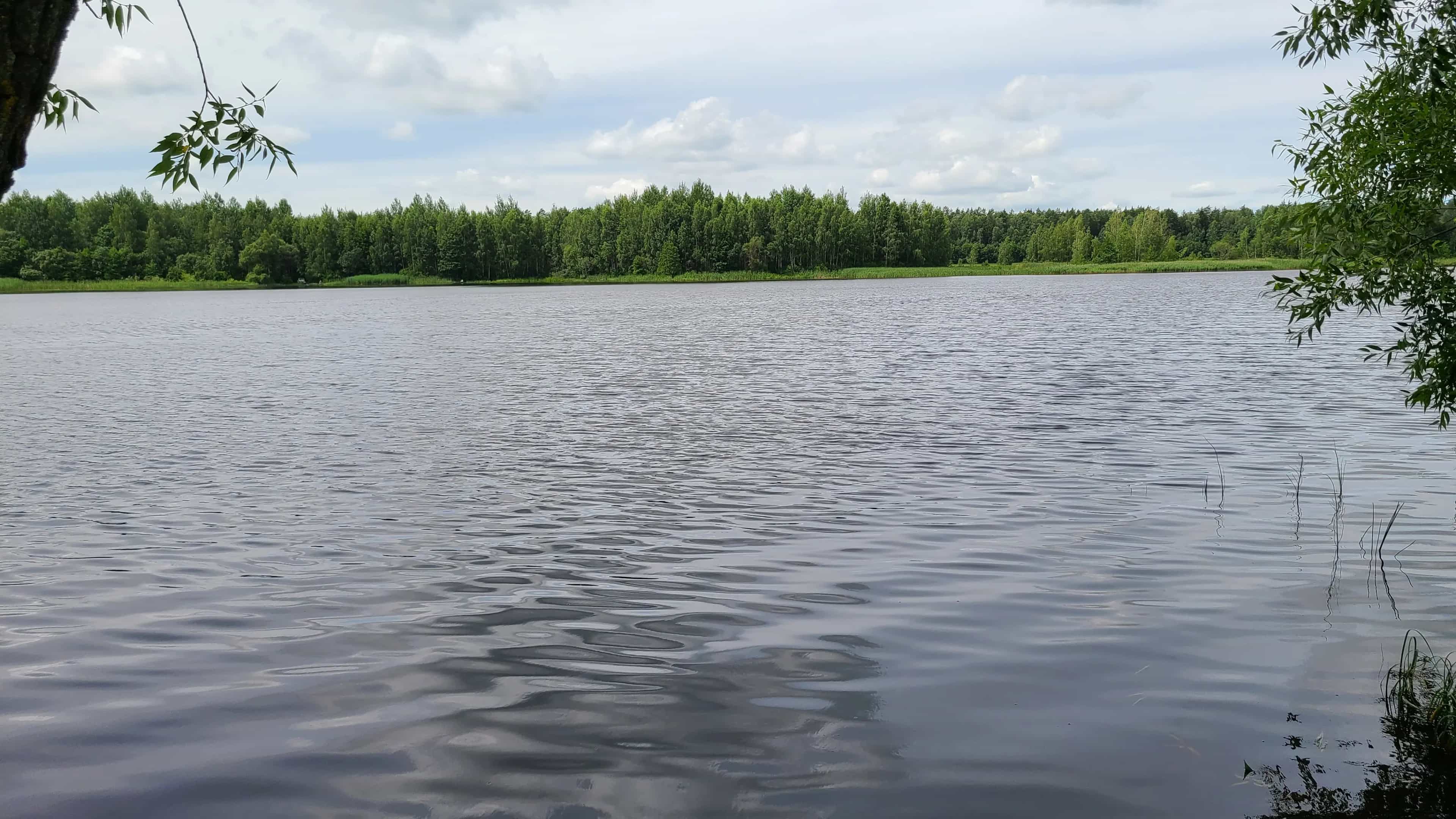 Беларусь, Минская область, Червенский район, Ляденский сельсовет, деревня Ведрица, улица Юрия Гагарина, 16, фото 2