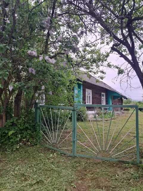 Беларусь, Минская область, Молодечненский район, Городокский сельсовет, деревня Ермаки, 24, фото 8