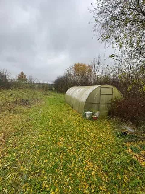Беларусь, Минская область, Молодечненский район, Городокский сельсовет, деревня Ермаки, 24, фото 14