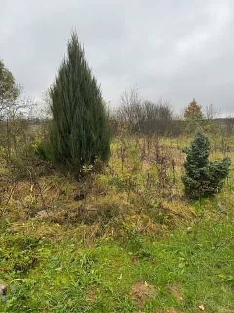 Беларусь, Минская область, Молодечненский район, Городокский сельсовет, деревня Ермаки, 24, фото 17