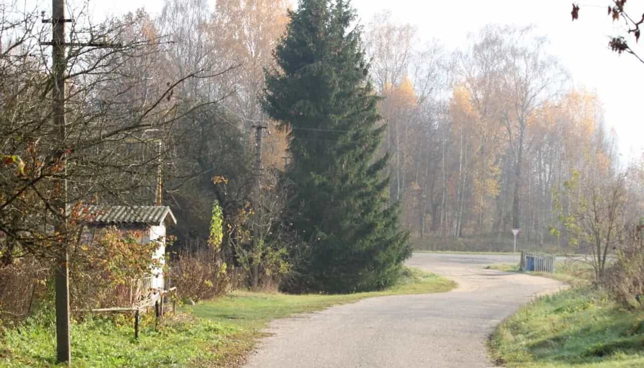 Беларусь, Минская область, Молодечненский район, Городокский сельсовет, деревня Ермаки, 24, фото 18