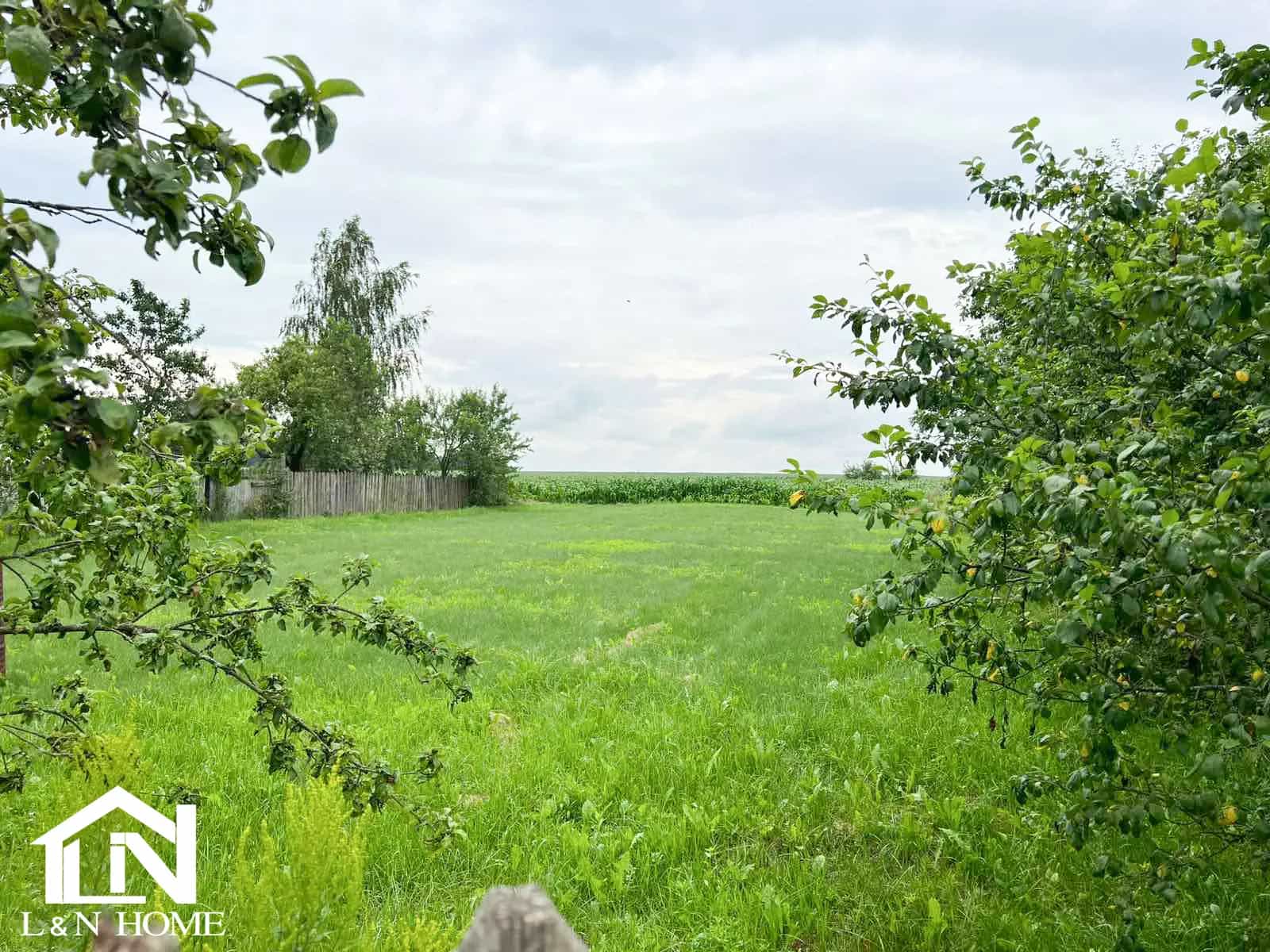 Беларусь, Минская область, Смолевичский район, Драчковский сельсовет, деревня Ляды, 74, фото 5