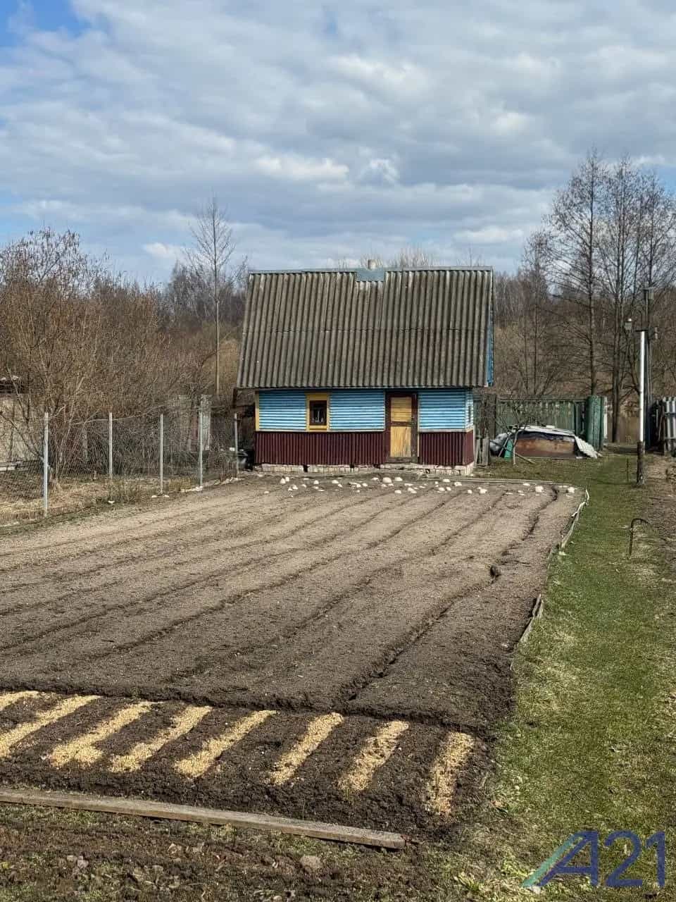 Беларусь, Могилёвская область, Осиповичский район, Свислочский сельсовет, деревня Голынка, Дачная улица, 35, фото 5
