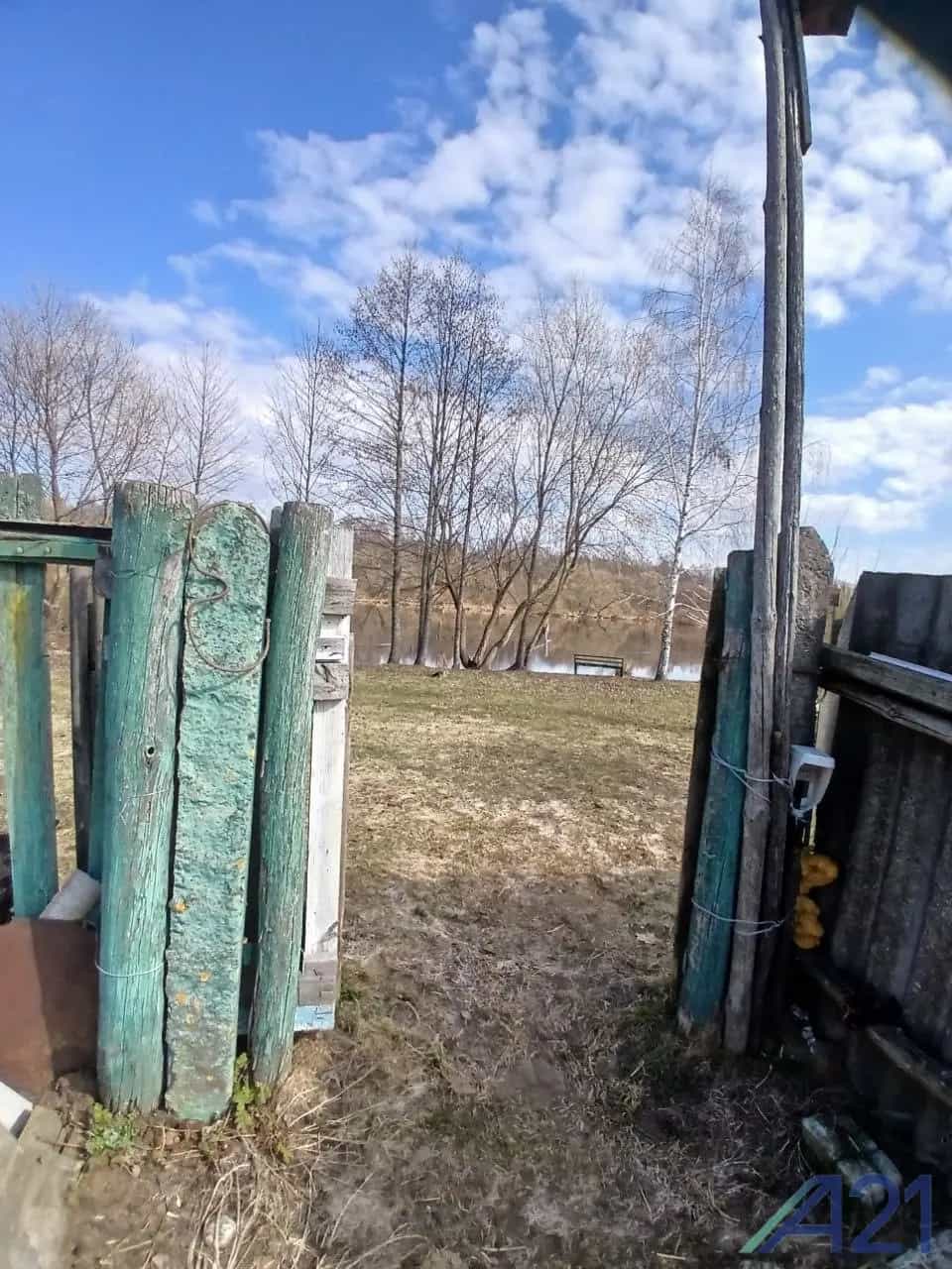 Беларусь, Могилёвская область, Осиповичский район, Свислочский сельсовет, деревня Голынка, Дачная улица, 35, фото 7