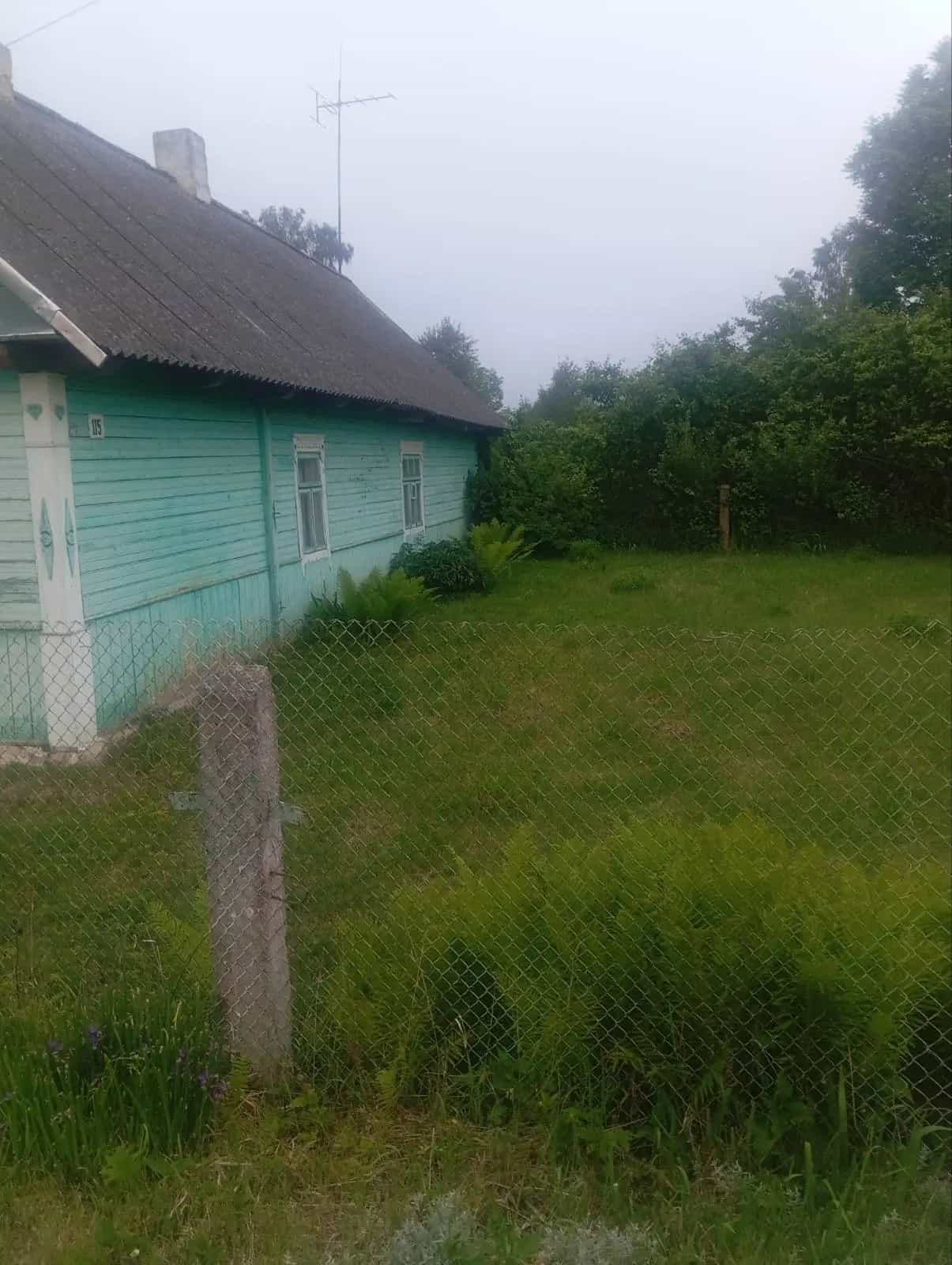 Беларусь, Брестская область, Пружанский район, Ружанский сельсовет, деревня Близная, 115