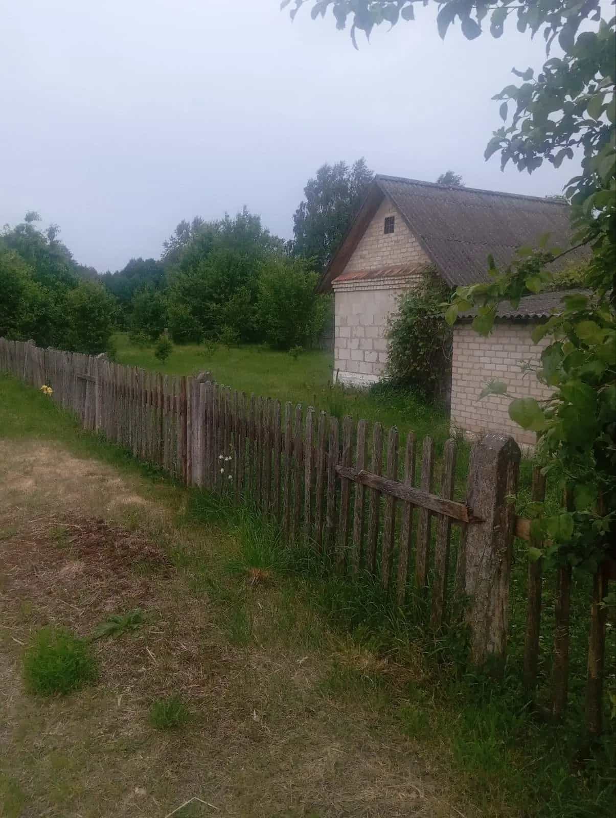 Беларусь, Брестская область, Пружанский район, Ружанский сельсовет, деревня Близная, 115, фото 2