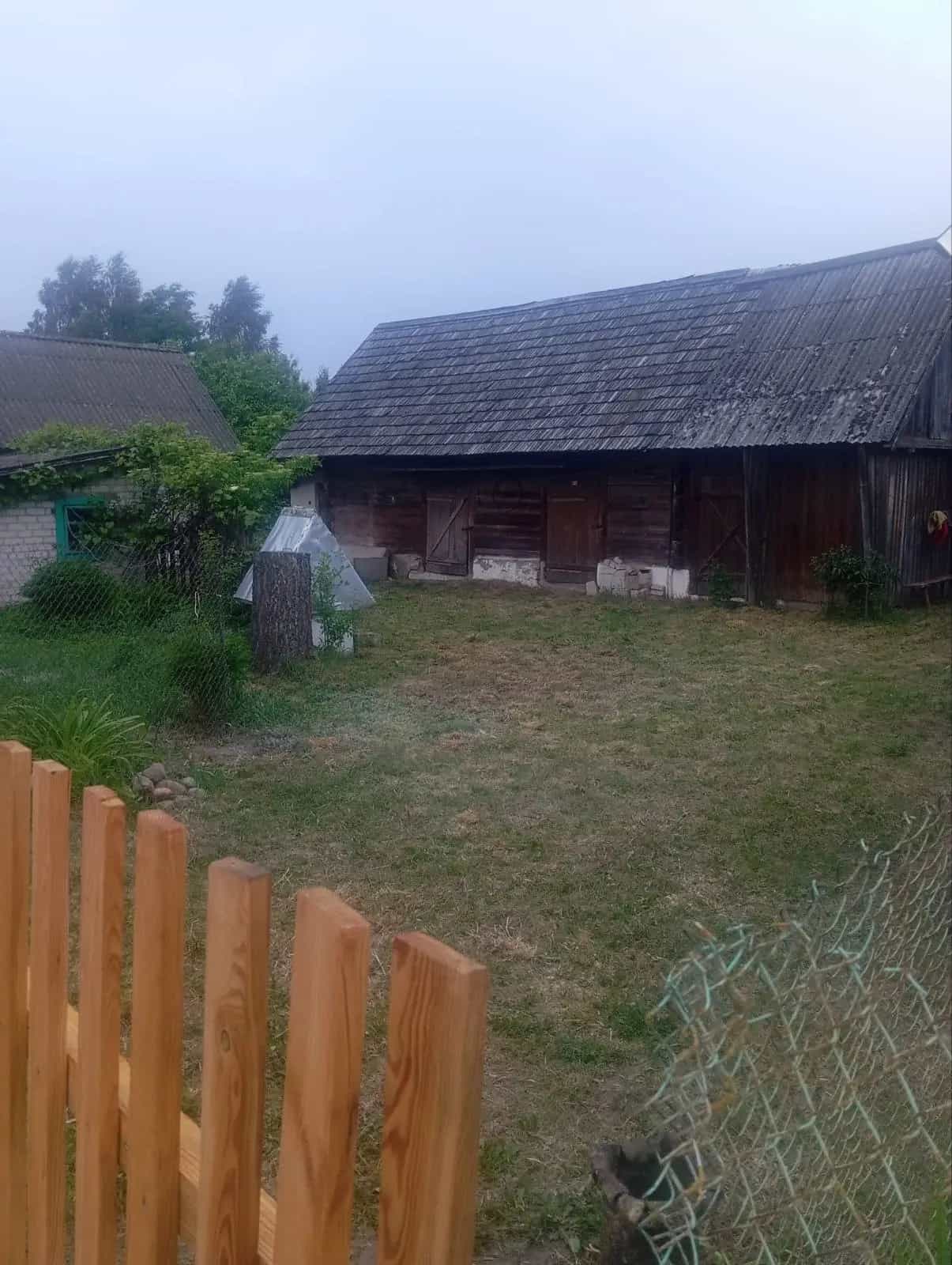 Беларусь, Брестская область, Пружанский район, Ружанский сельсовет, деревня Близная, 115, фото 4
