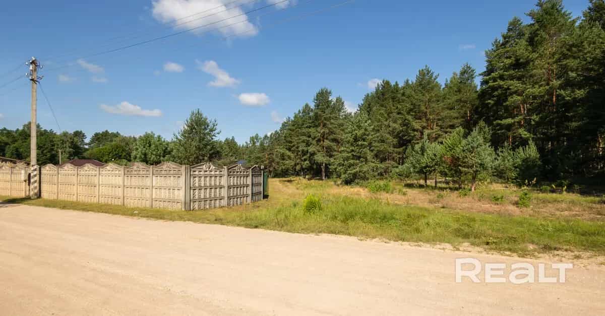 Беларусь, Минская область, Столбцовский район, Литвенский сельсовет, хутор Петрово, Озёрная улица, 4, фото 11