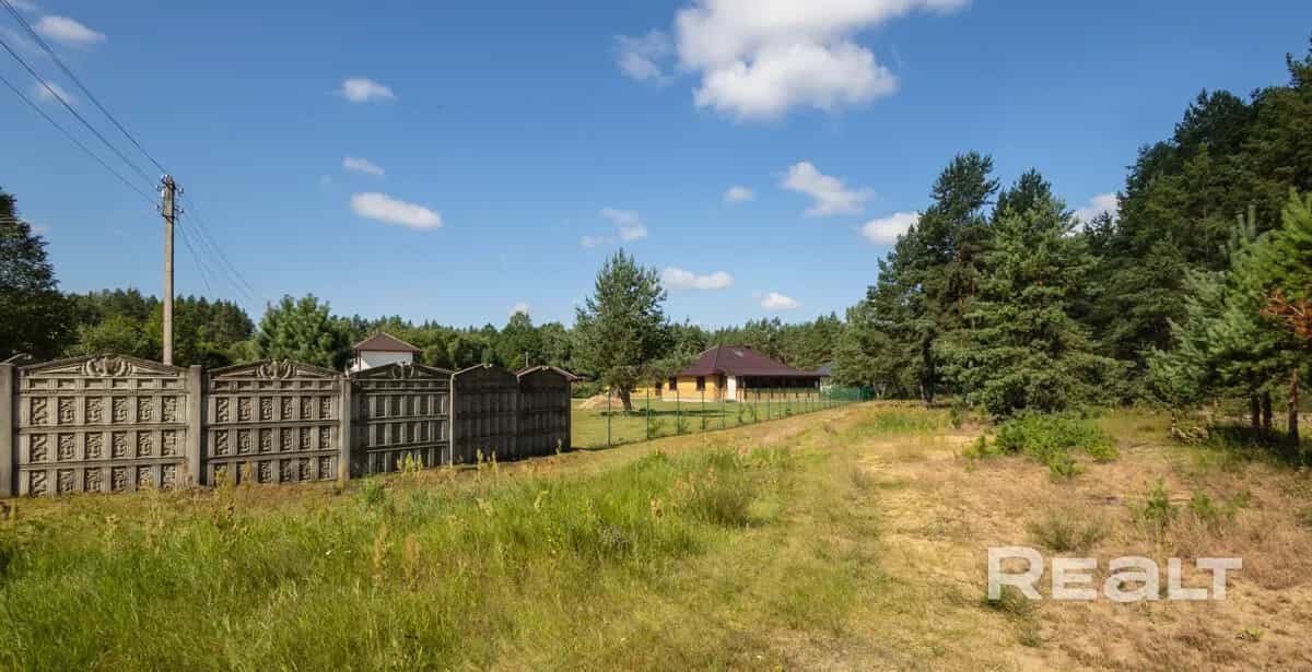 Беларусь, Минская область, Столбцовский район, Литвенский сельсовет, хутор Петрово, Озёрная улица, 4, фото 12