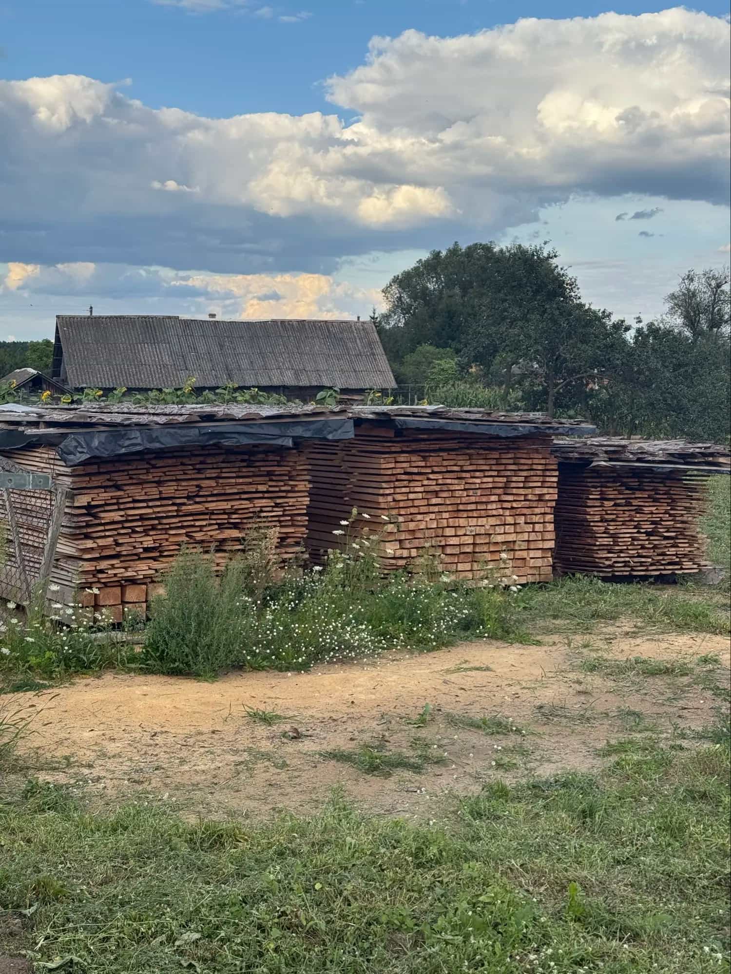 Беларусь, Гродненская область, Слонимский район, Сеньковщинский сельсовет, деревня Поречье, Рыбацкая улица, 38, фото 6