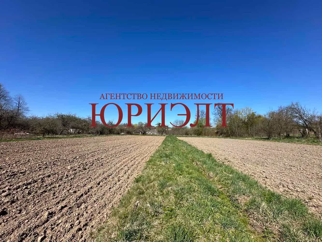 Беларусь, Гродненский район, Подлабенский сельсовет, деревня Адамовичи, Центральная улица, 42