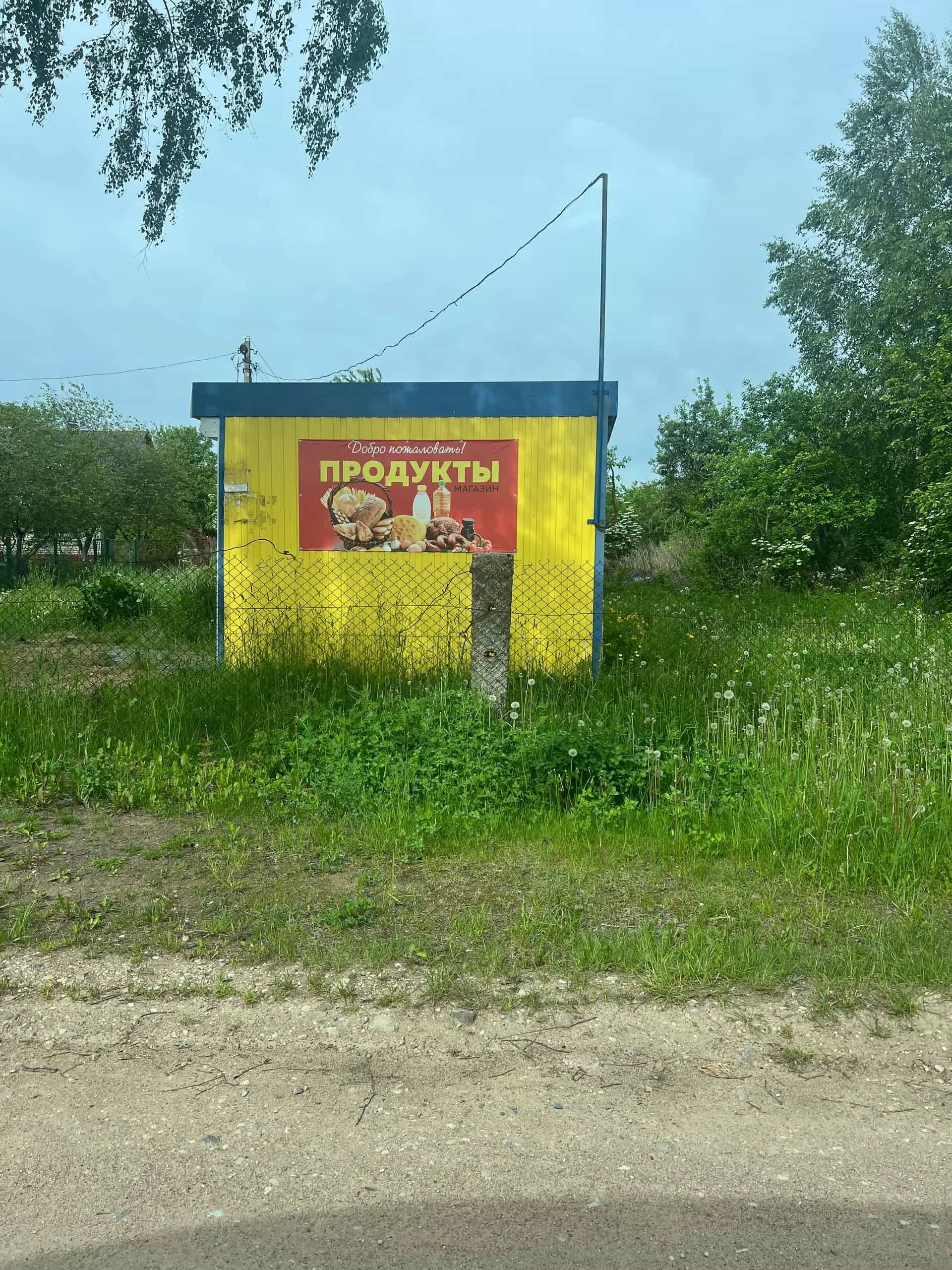 Беларусь, Минская область, Пуховичский район, Пережирский сельсовет, садовое товарищество Надежда-96, 17, фото 8
