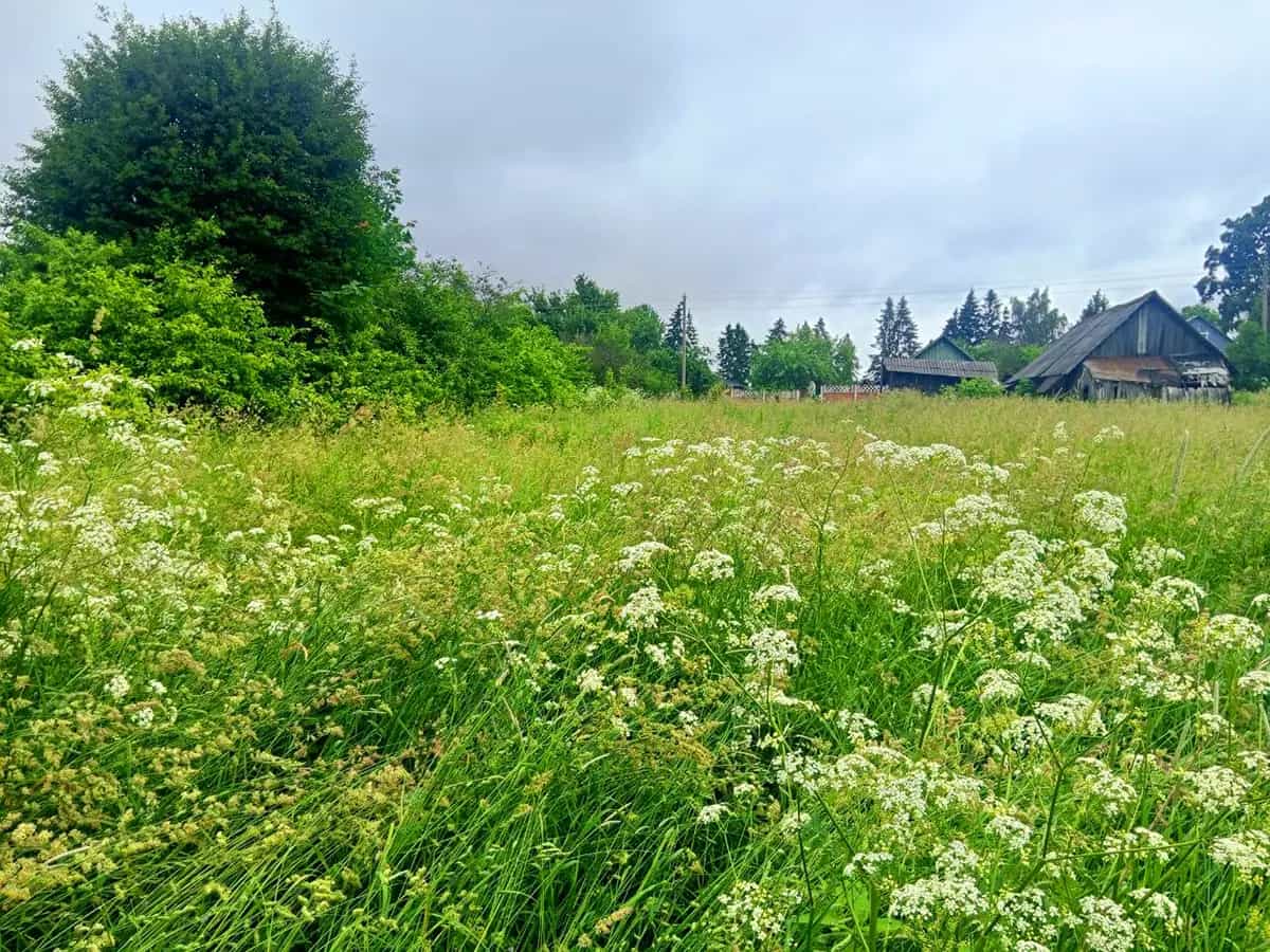Беларусь, Минский район, Юзуфовский сельсовет, деревня Казеково, Центральная улица, 5, фото 3