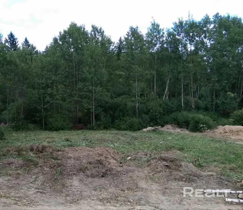 Беларусь, Минский район, Лошанский сельсовет, СТ Рябиновка, 62, фото 9