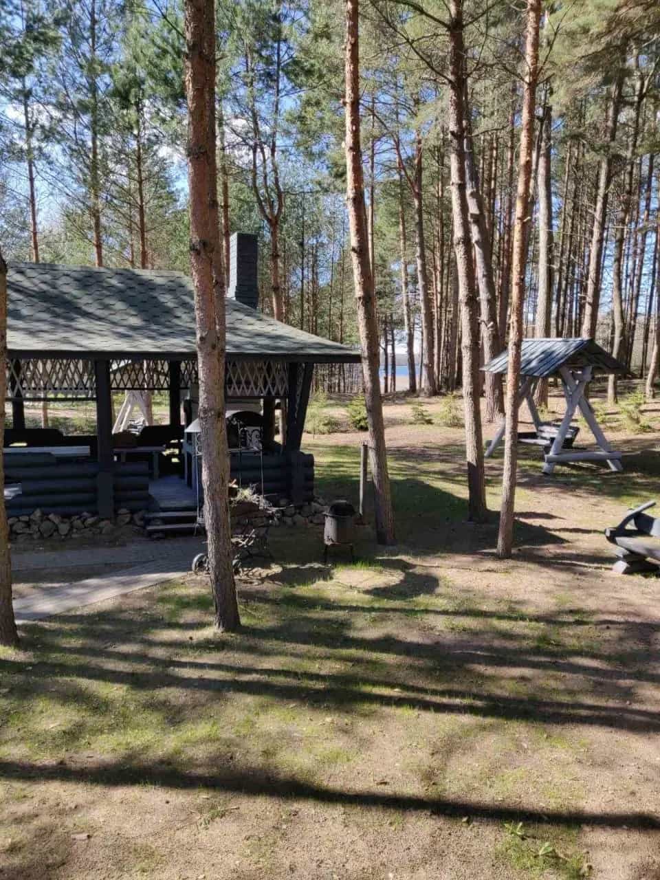 Беларусь, Витебская область, Браславский район, Слободковский сельсовет, деревня Пантелейки, Дачная улица, 22, фото 5
