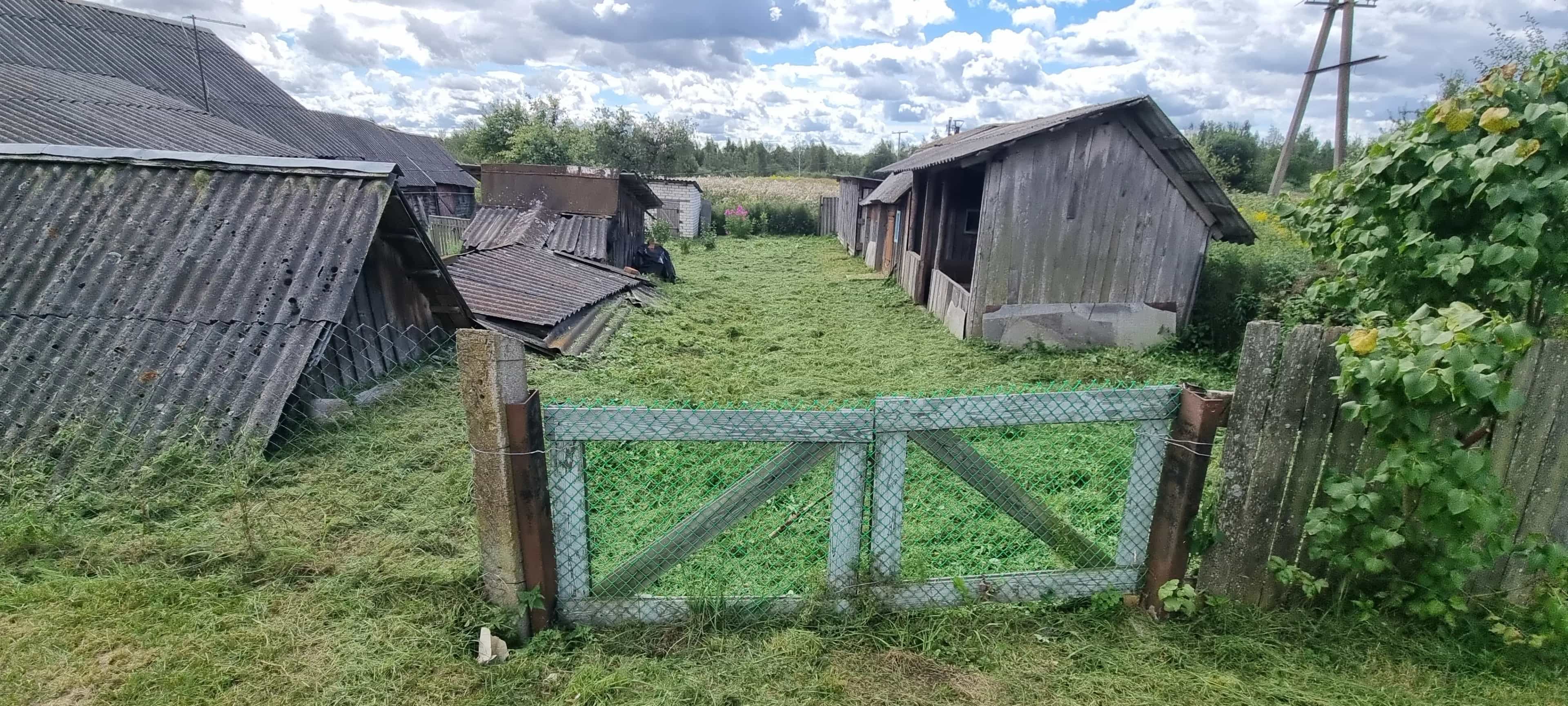 Беларусь, Минская область, Смолевичский район, Курганский сельсовет, деревня Студёнка, Центральная улица, 42, фото 5
