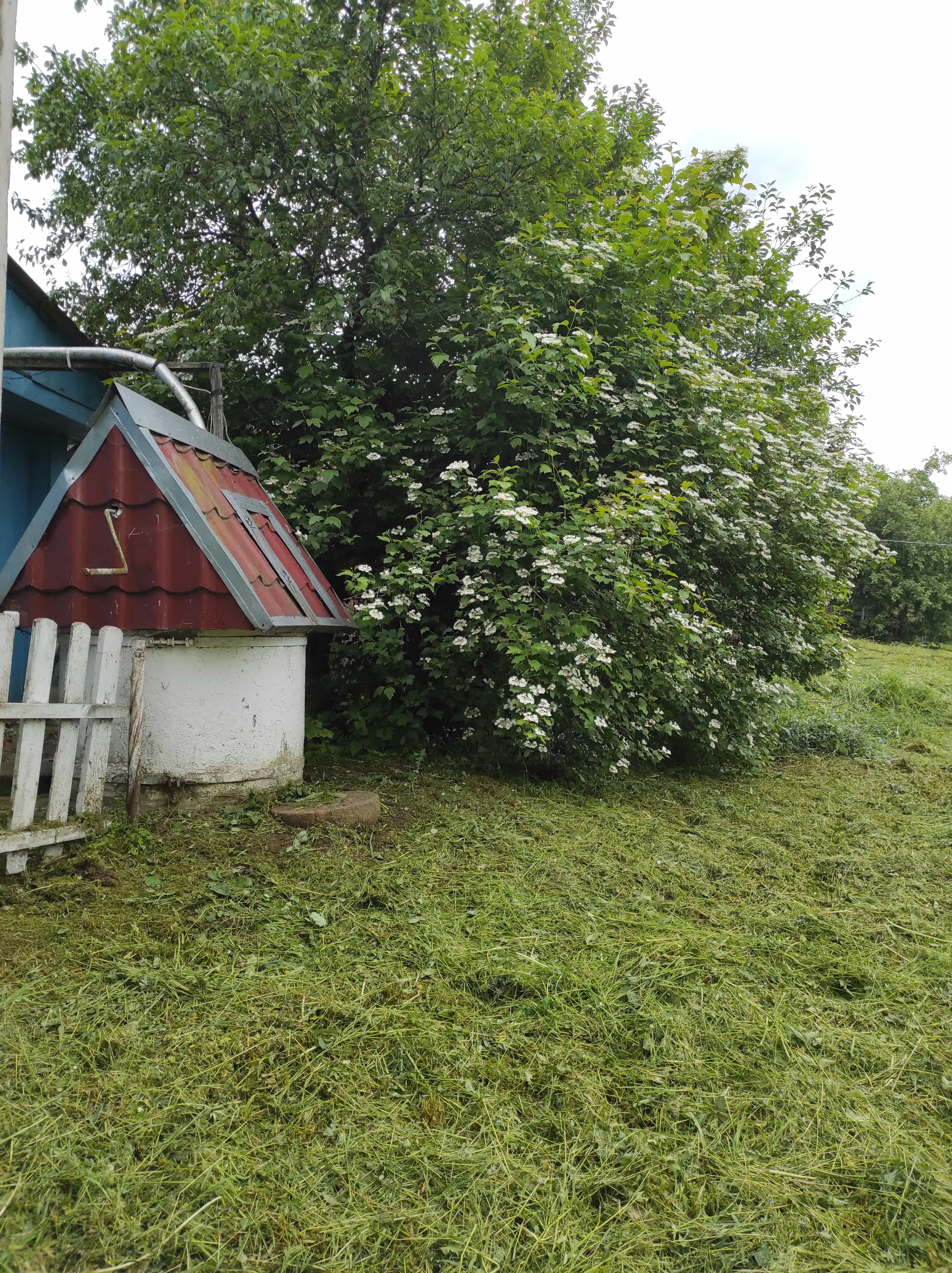 Беларусь, Минская область, Молодечненский район, Городиловский сельсовет, деревня Белые, 22, фото 4