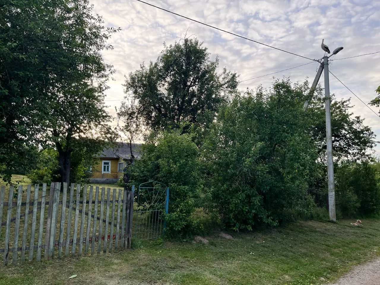 Беларусь, Минская область, Молодечненский район, Городиловский сельсовет, деревня Белые, 22, фото 18