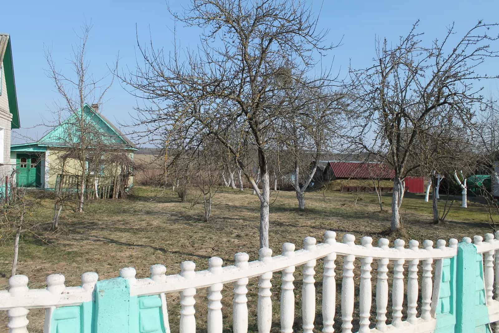 Беларусь, Минская область, Столбцовский район, Налибокский сельсовет, агрогородок Налибоки, Садовая улица, 22, фото 4
