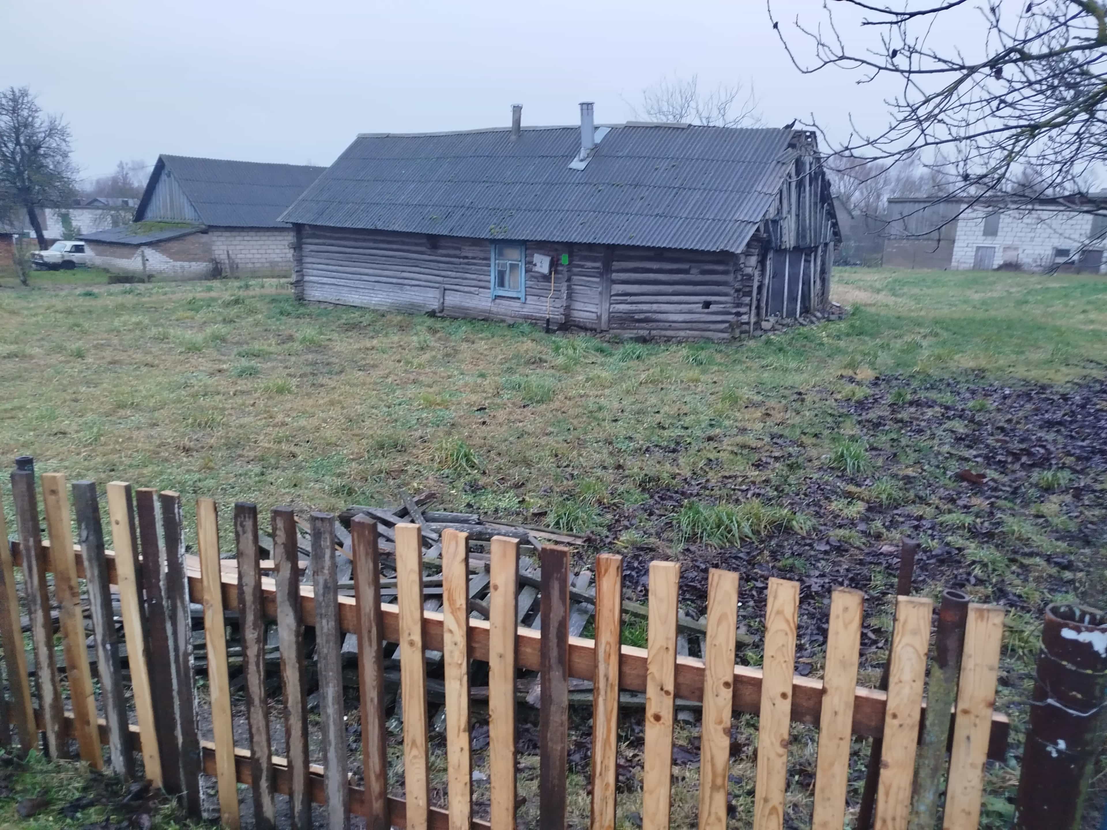 Беларусь, Минская область, Несвижский район, Козловский сельсовет, агрогородок Оношки, улица Космонавтов, 4
