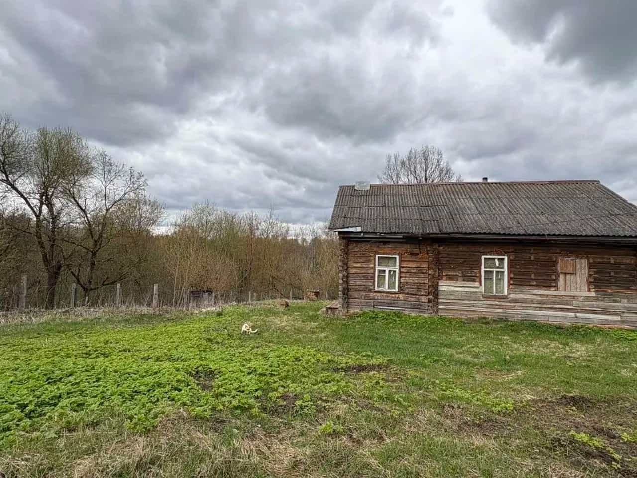 Беларусь, Могилёвская область, Чериковский район, Сормовский сельсовет, деревня Турье, Садовая улица, 2, фото 18
