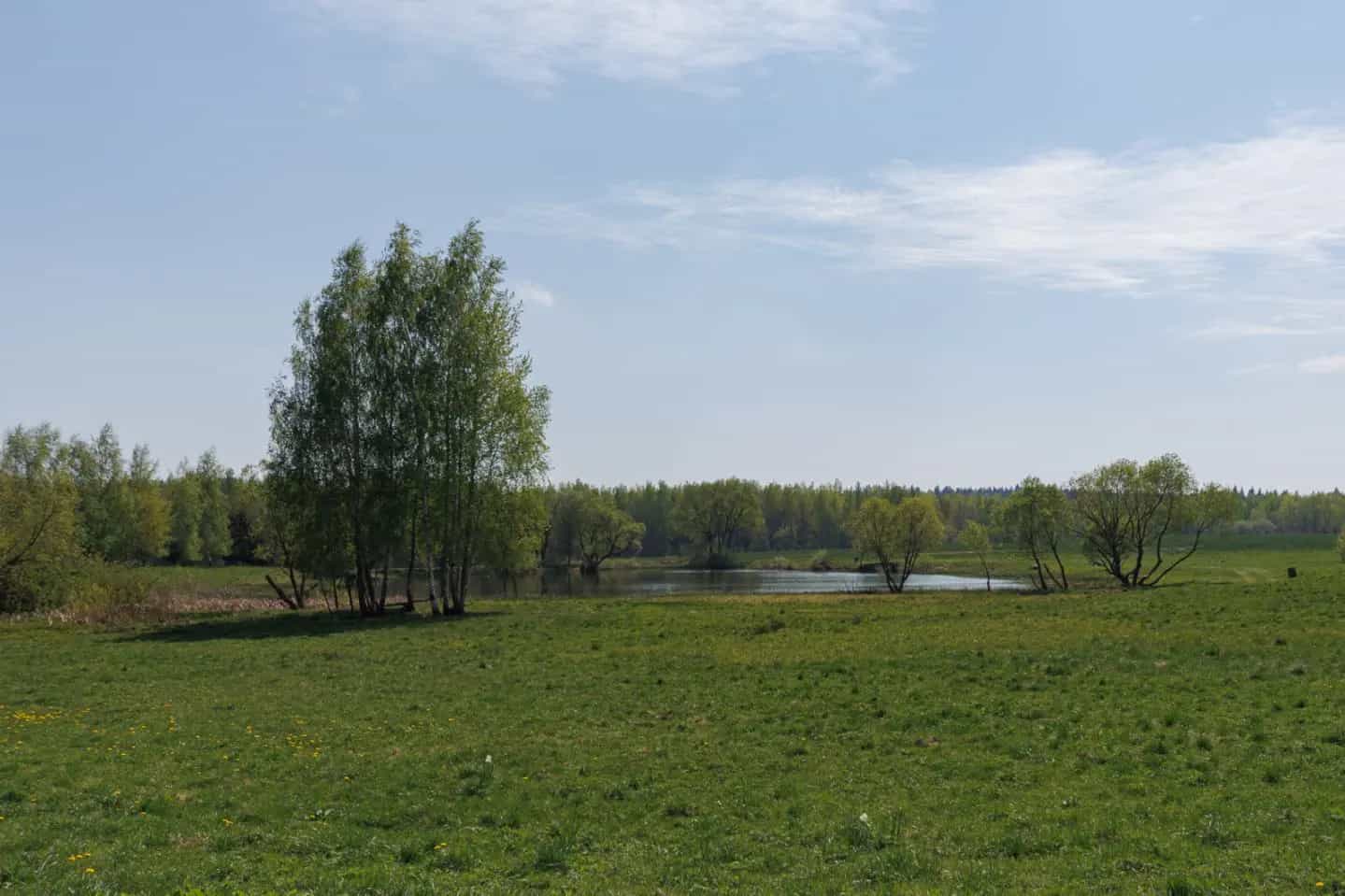 Беларусь, Минский район, Петришковский сельсовет, деревня Ермаки, 16, фото 34
