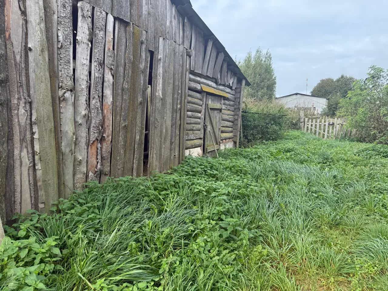 Беларусь, Гродненская область, Сморгонский район, Кревский сельсовет, агрогородок Раковцы, Центральная улица, 41, фото 7
