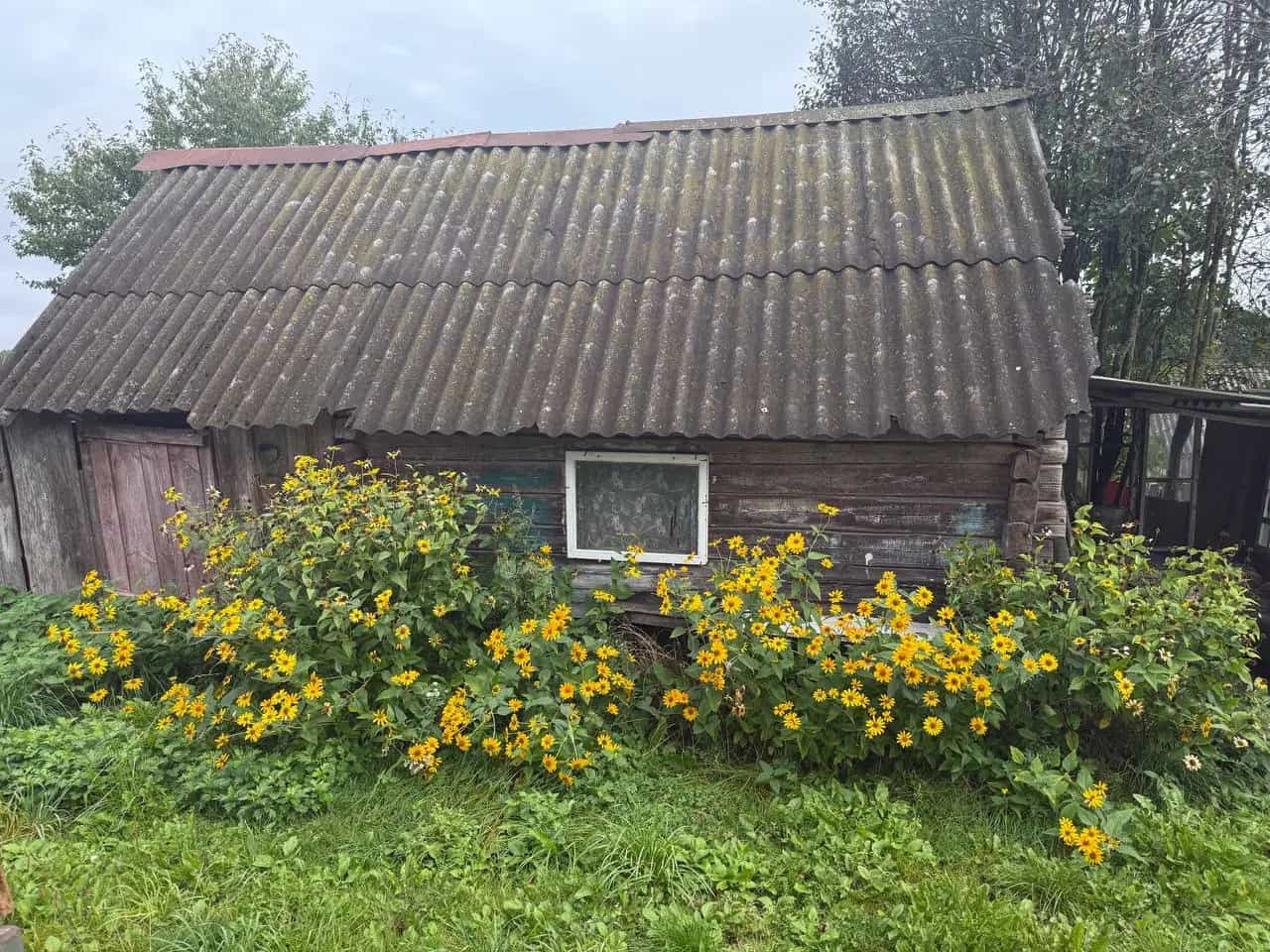 Беларусь, Гродненская область, Сморгонский район, Кревский сельсовет, агрогородок Раковцы, Центральная улица, 41, фото 8