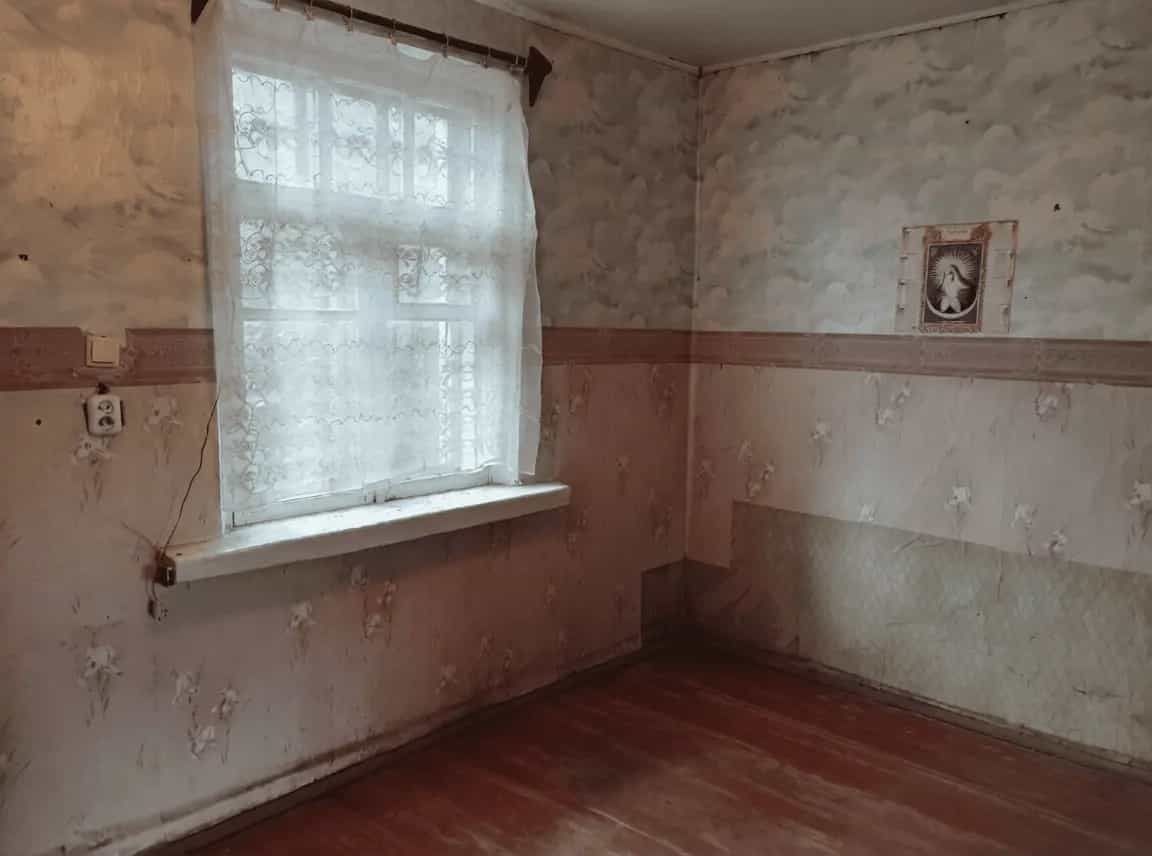 Беларусь, Минская область, Слуцкий район, Бокшицкий сельсовет, деревня Гороховка, Луговая улица, фото 13