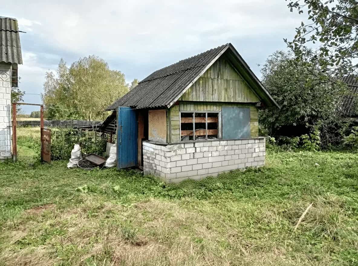 Беларусь, Минская область, Слуцкий район, Бокшицкий сельсовет, деревня Гороховка, Луговая улица, фото 15