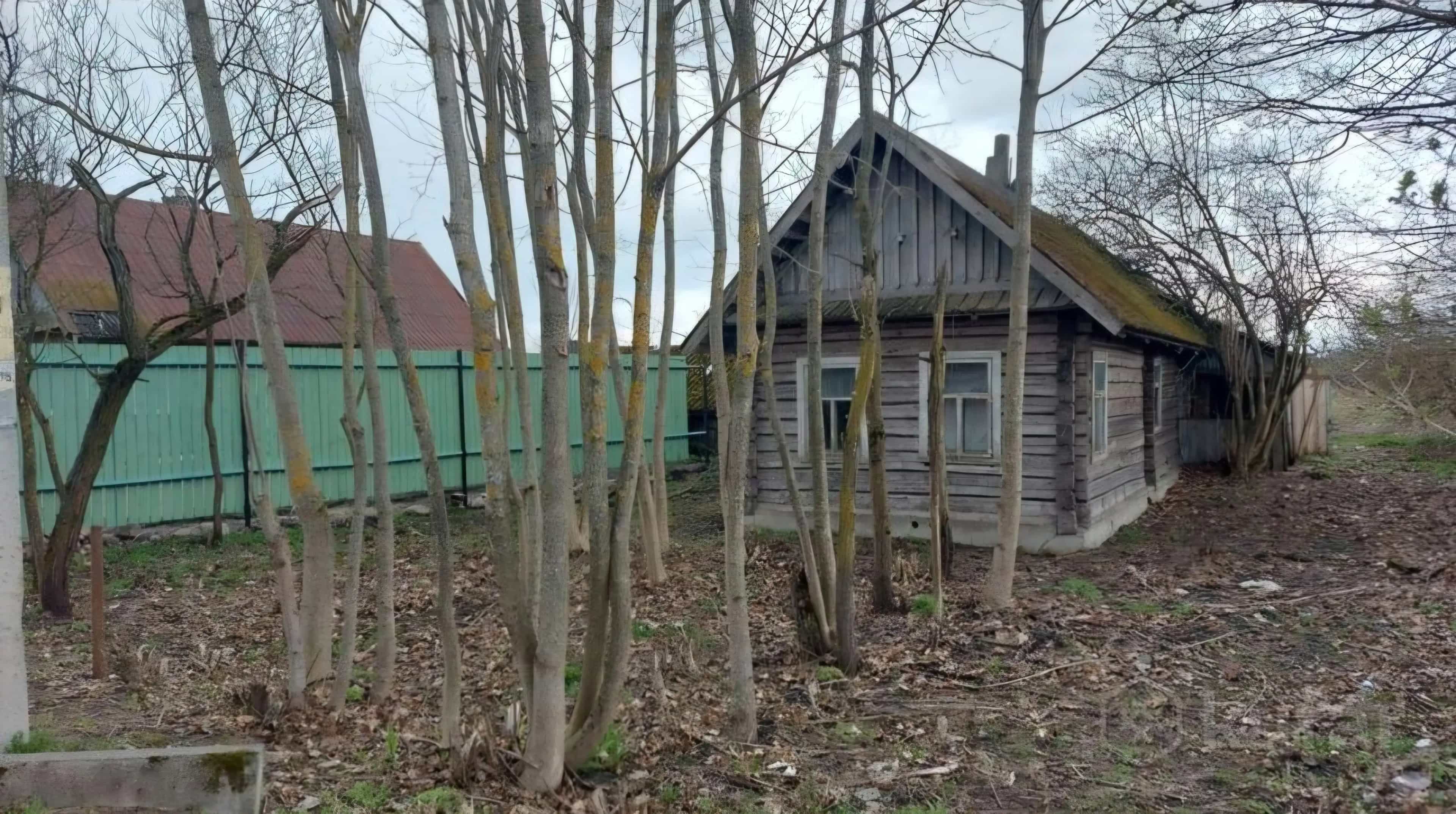 Беларусь, Минская область, Вилейский район, Кривосельский сельсовет, деревня Рабунь, Советская улица, 77, фото 5