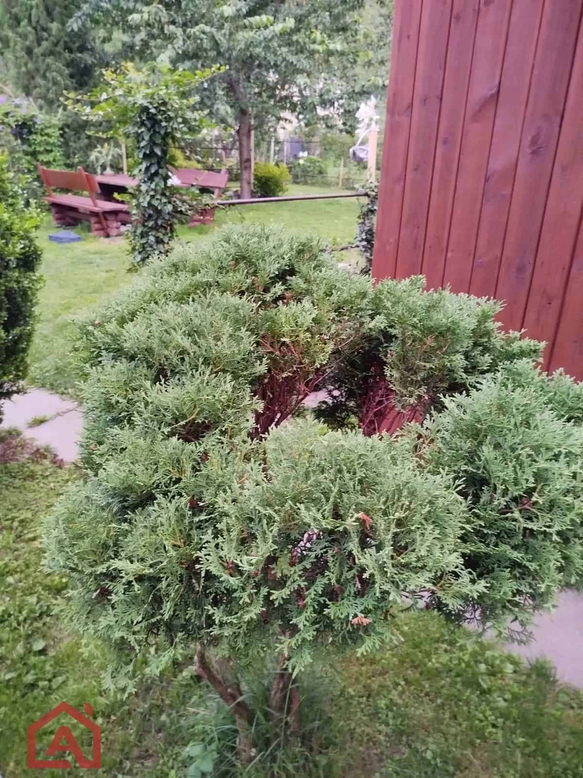 Беларусь, Минский район, Новодворский сельсовет, СТ Связист-Плюс, 64, фото 16