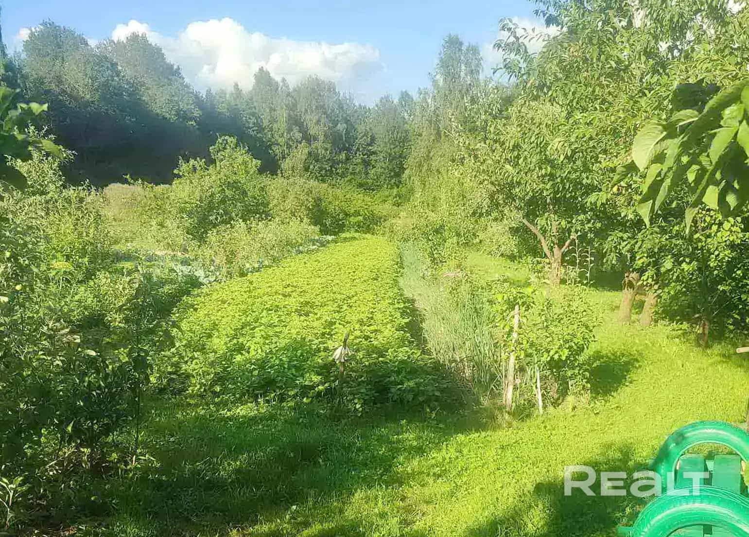 Беларусь, Минская область, Мядельский сельсовет, деревня Лотва, Молодёжная улица, 33, фото 27