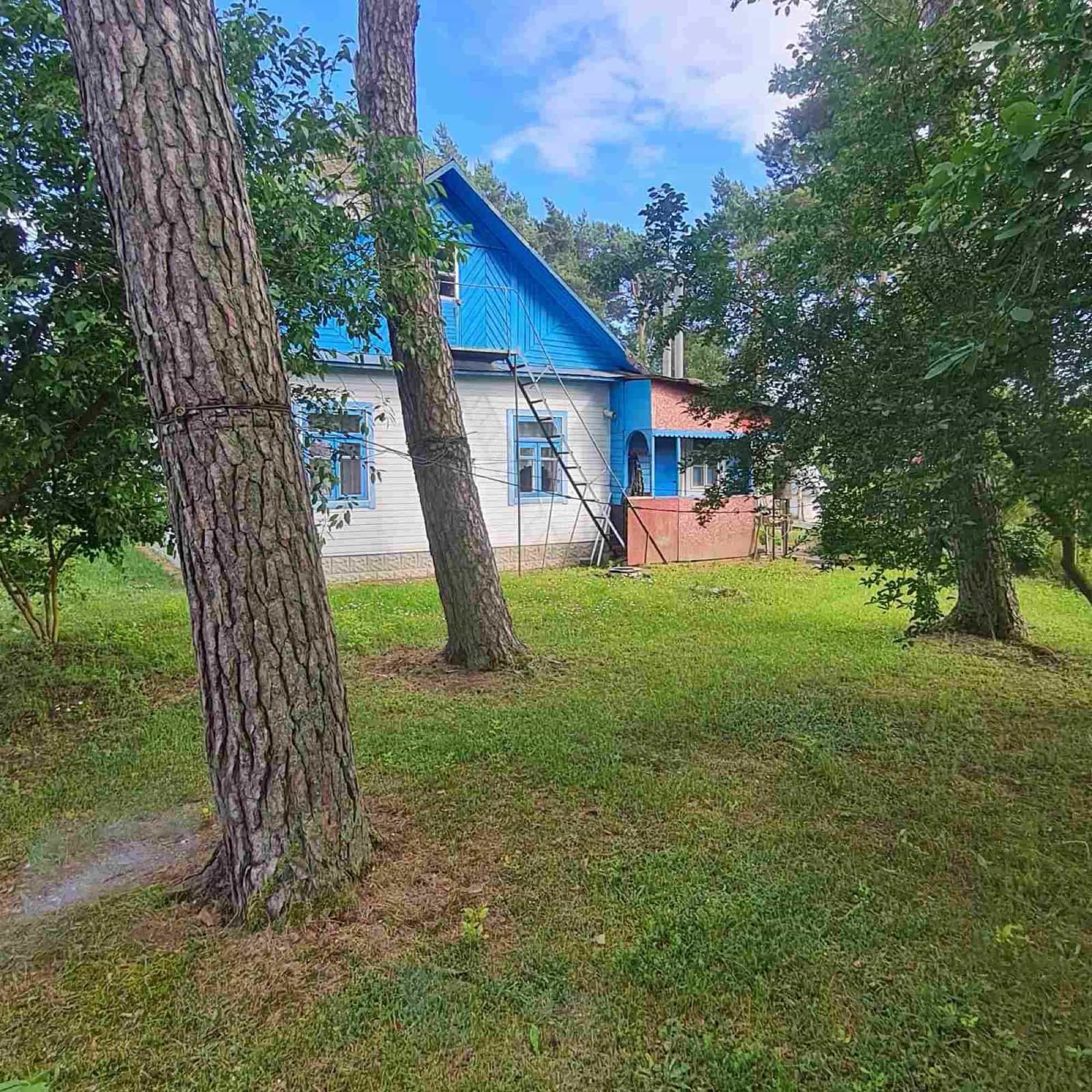 Беларусь, Гродненская область, Дятловский район, городской посёлок Новоельня, Октябрьская улица, 14, фото 3