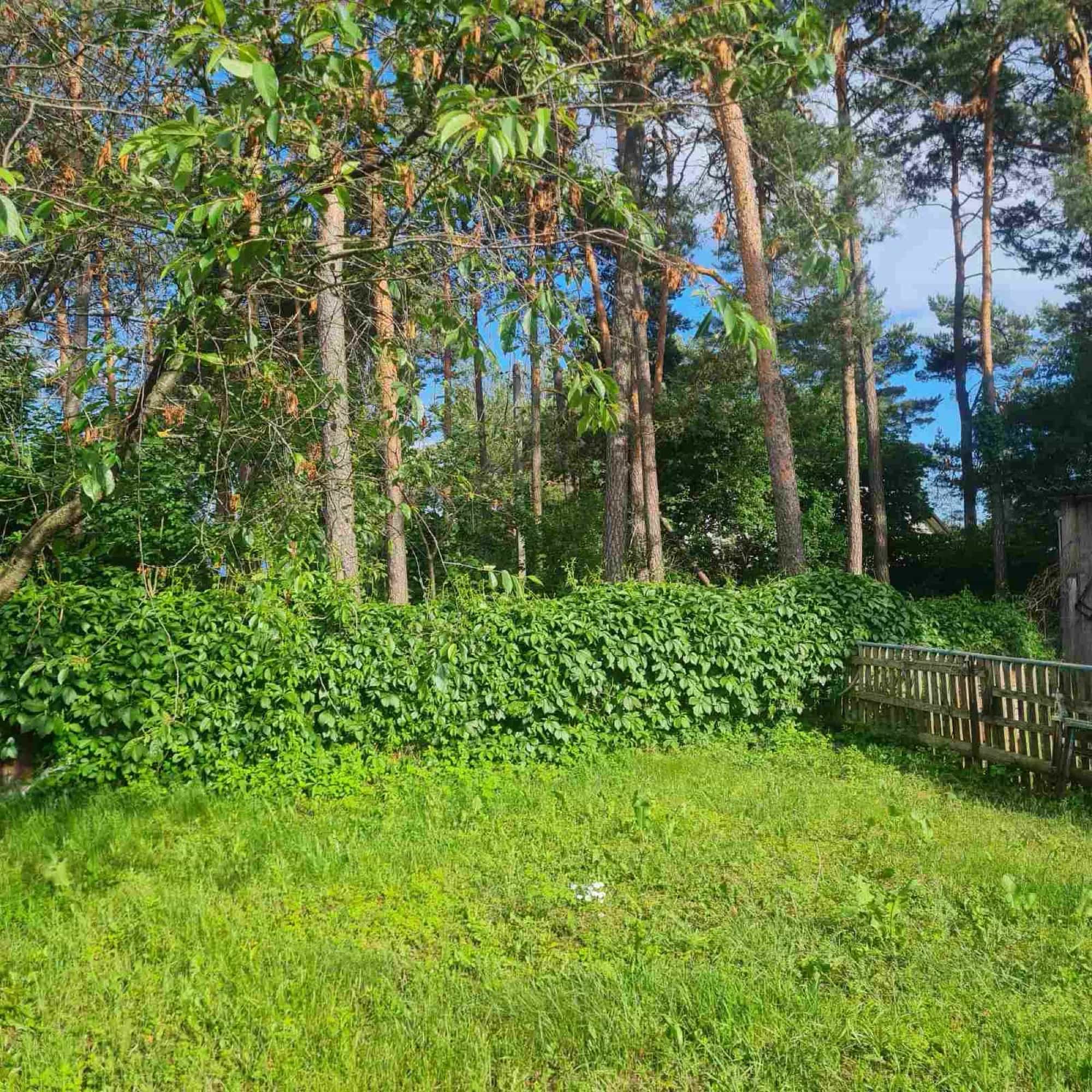 Беларусь, Гродненская область, Дятловский район, городской посёлок Новоельня, Октябрьская улица, 14, фото 12