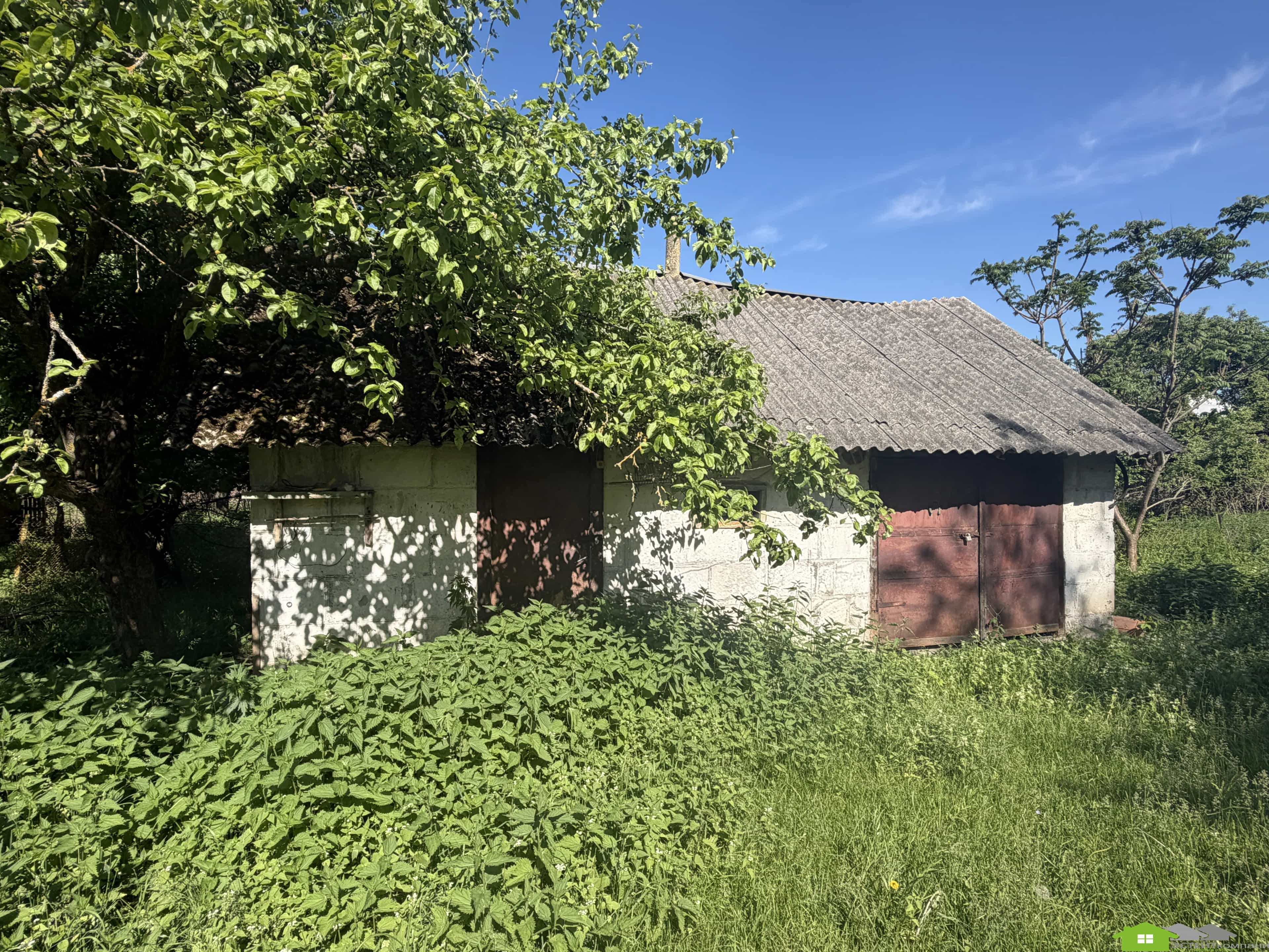 Беларусь, Гродненская область, Лидский район, Гончарский сельсовет, деревня Мосевичи, улица Гагарина, 28, фото 7