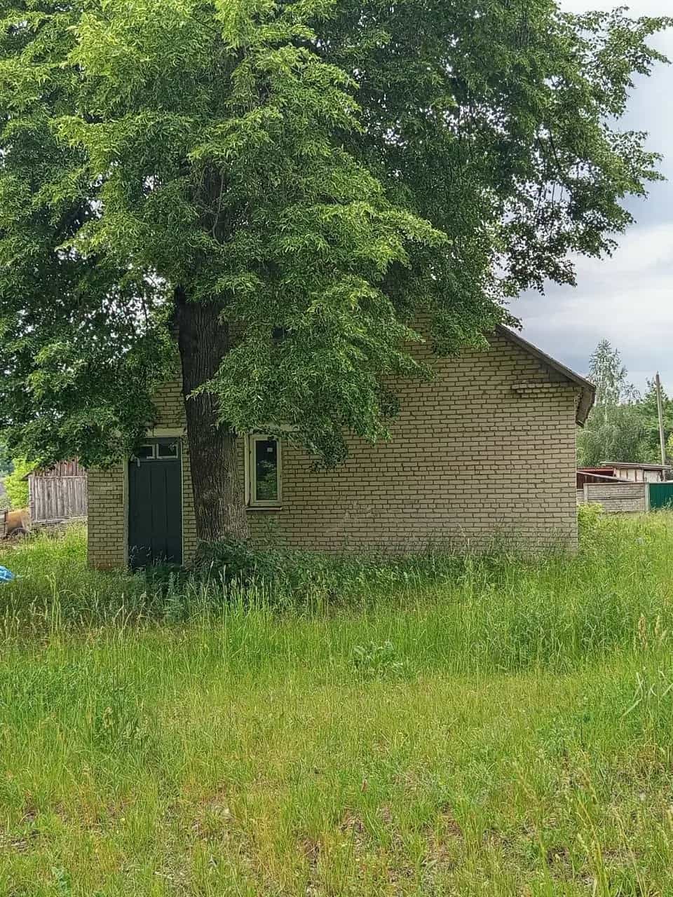 Беларусь, Брестская область, Каменецкий район, агрогородок Новицковичи, Школьная улица, 29А, фото 4