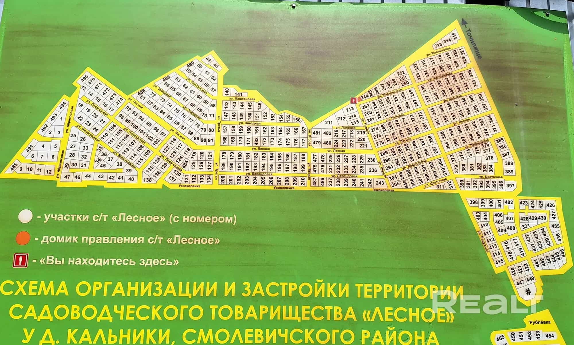 Беларусь, Минская область, Смолевичский район, Усяжский сельсовет, садоводческое товарищество Лесное, 172, фото 2