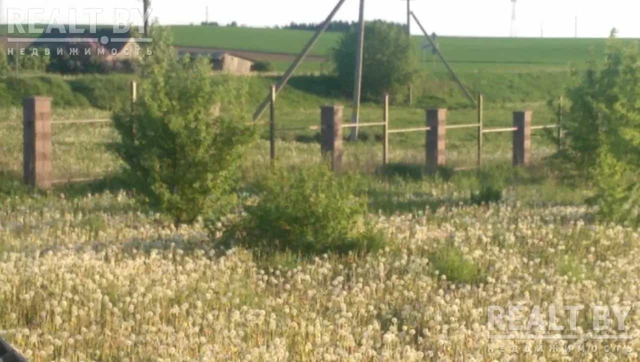Беларусь, Минский район, Луговослободской сельсовет, агрогородок Замосточье, Центральная улица, 15, фото 14