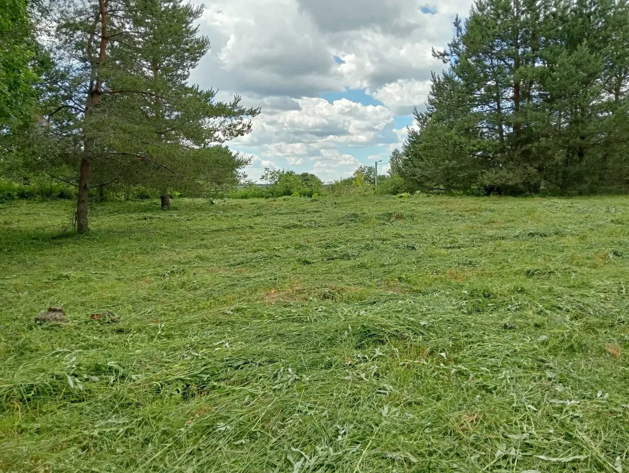 Беларусь, Минская область, Молодечненский район, Олехновичский сельсовет, СТ Колосок, 48, фото 2