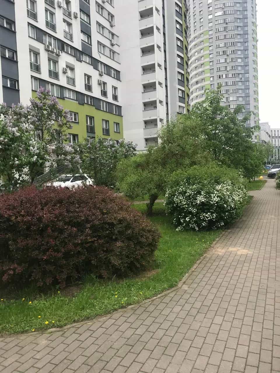 Беларусь, Минск, улица Скрыганова, 16, фото 18