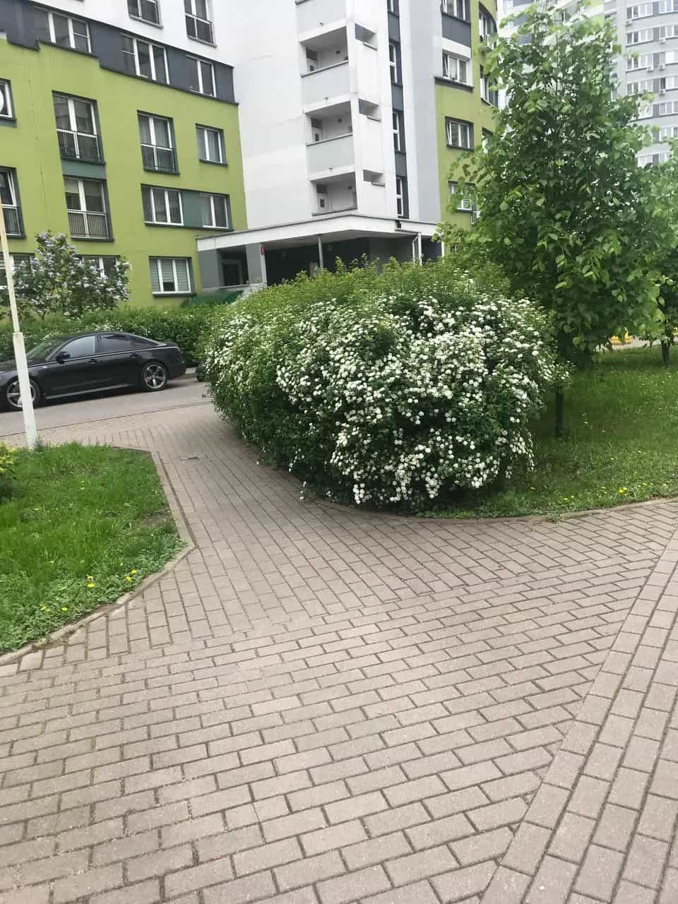 Беларусь, Минск, улица Скрыганова, 16, фото 19