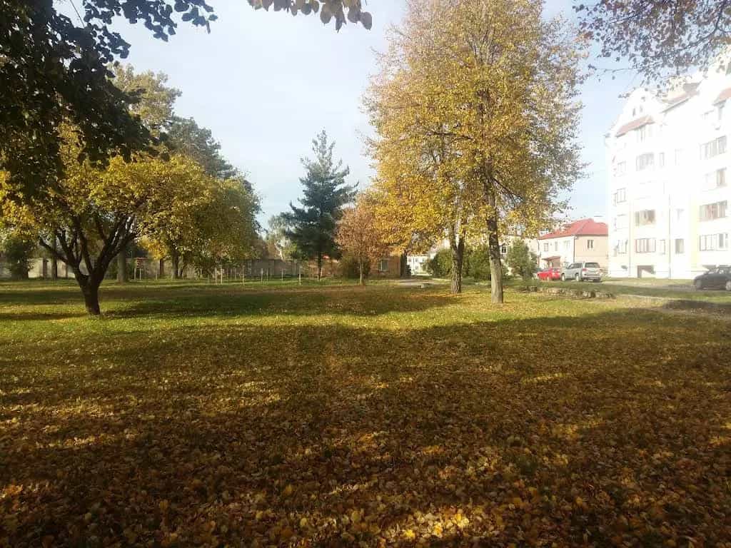Беларусь, Брестская область, Пинск, улица Крупской, 6, фото 2